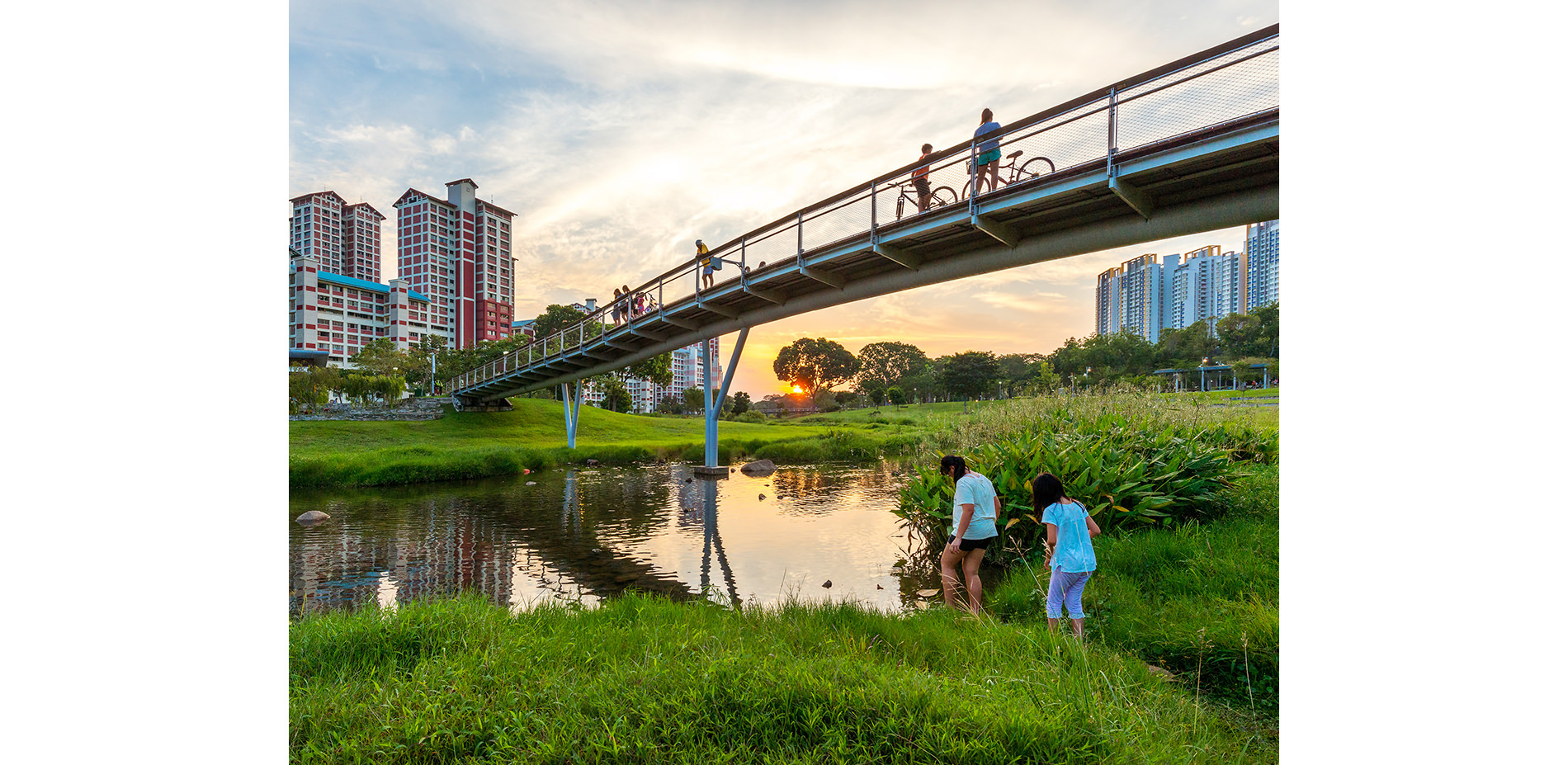 Bishan Ang Mo Kio Park 2016 Asla Professional Awards