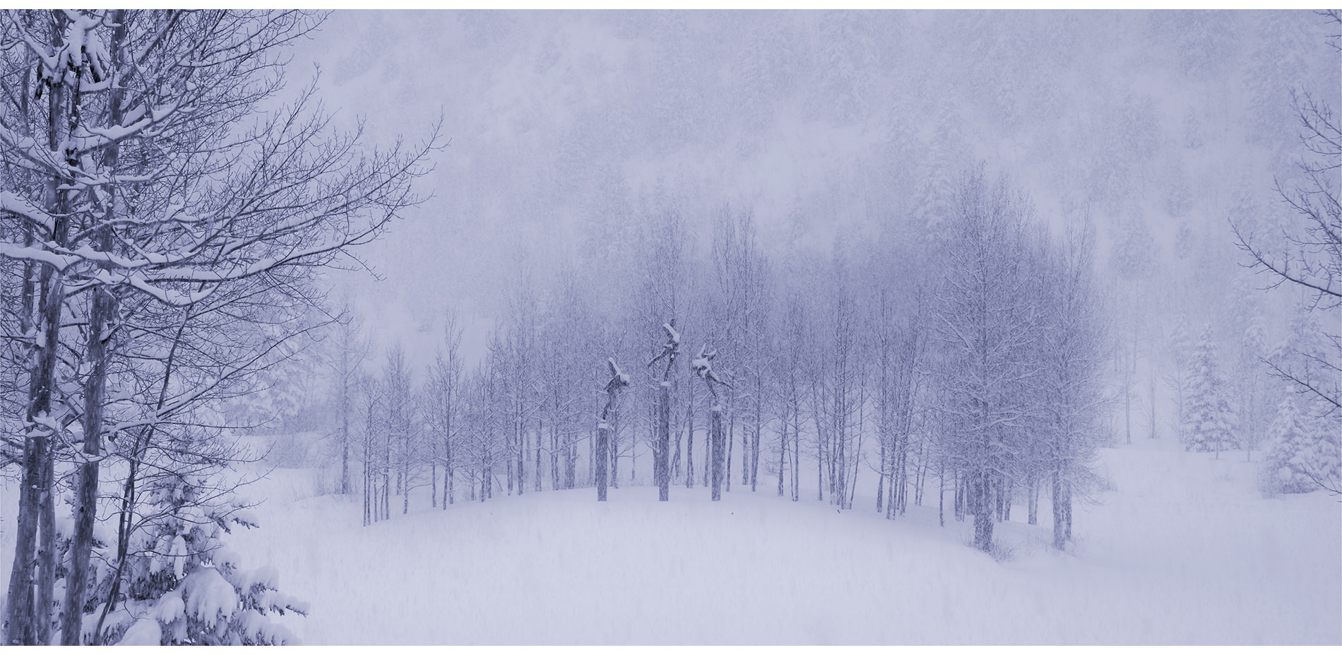 Site During Snowfall