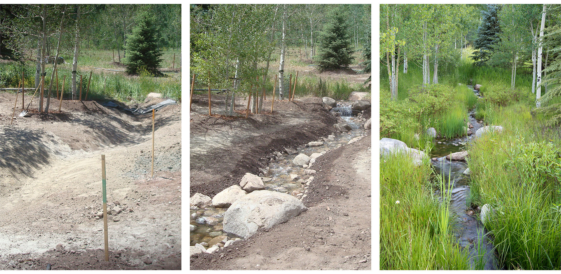 Naturalized Riparian Zone Before, During, and After Development