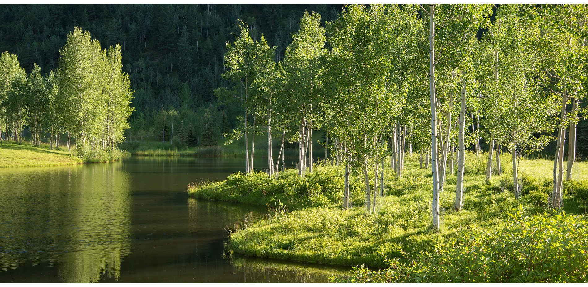 Lake Shoreline