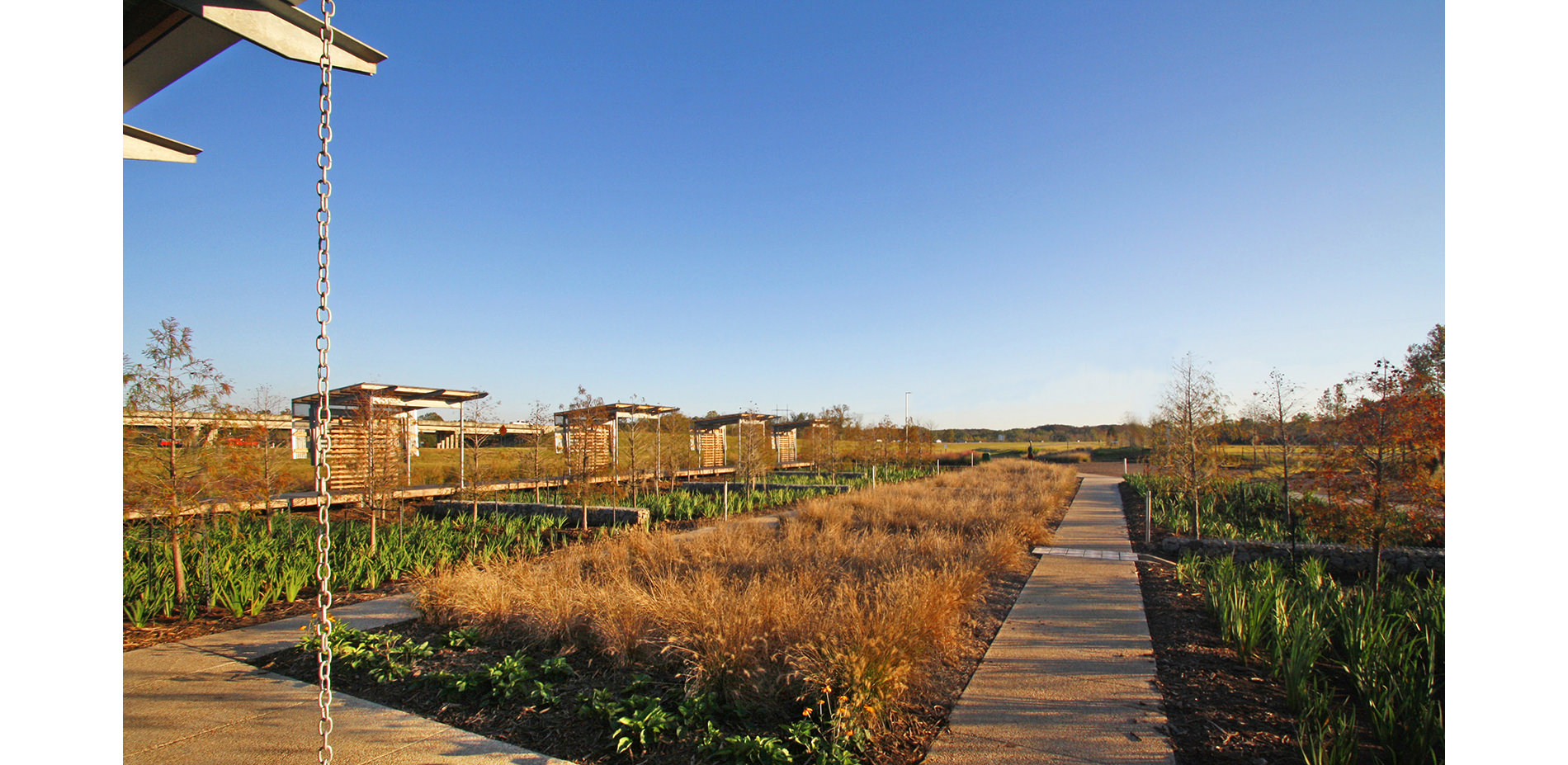 Broom Sedge and Walkway