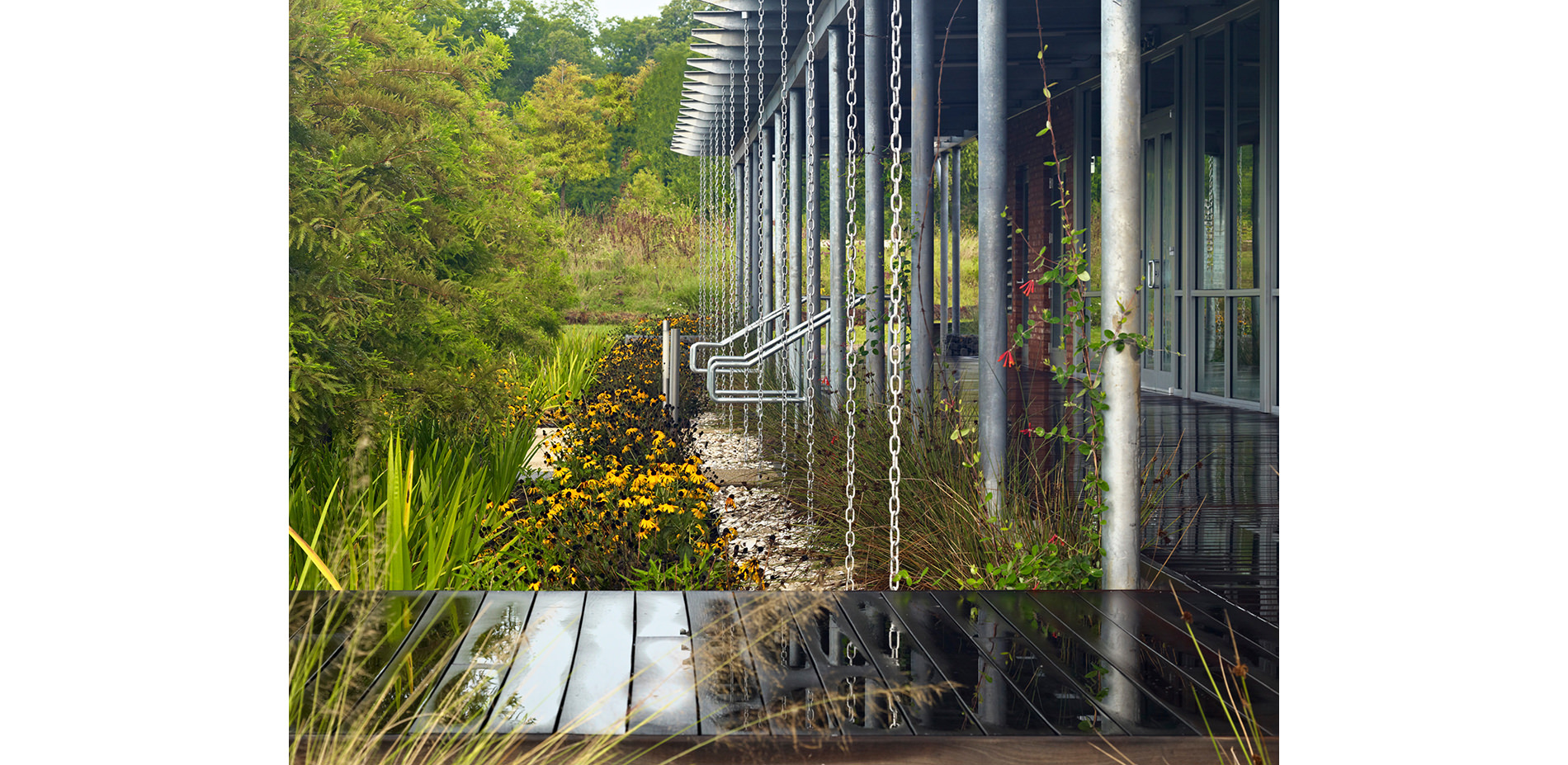 Rain Chains, Gulf Oyster Shells, and Water Collection Areas with Louisiana Iris and Bald Cypress