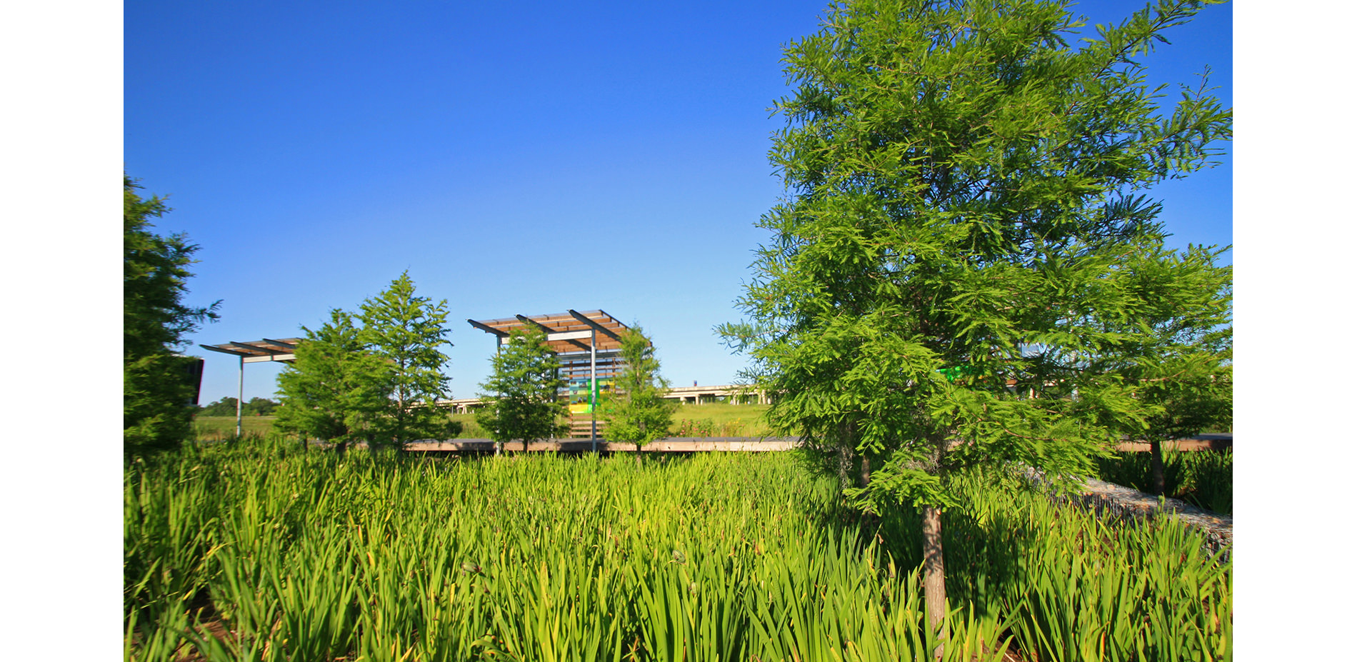 Rain Gardens