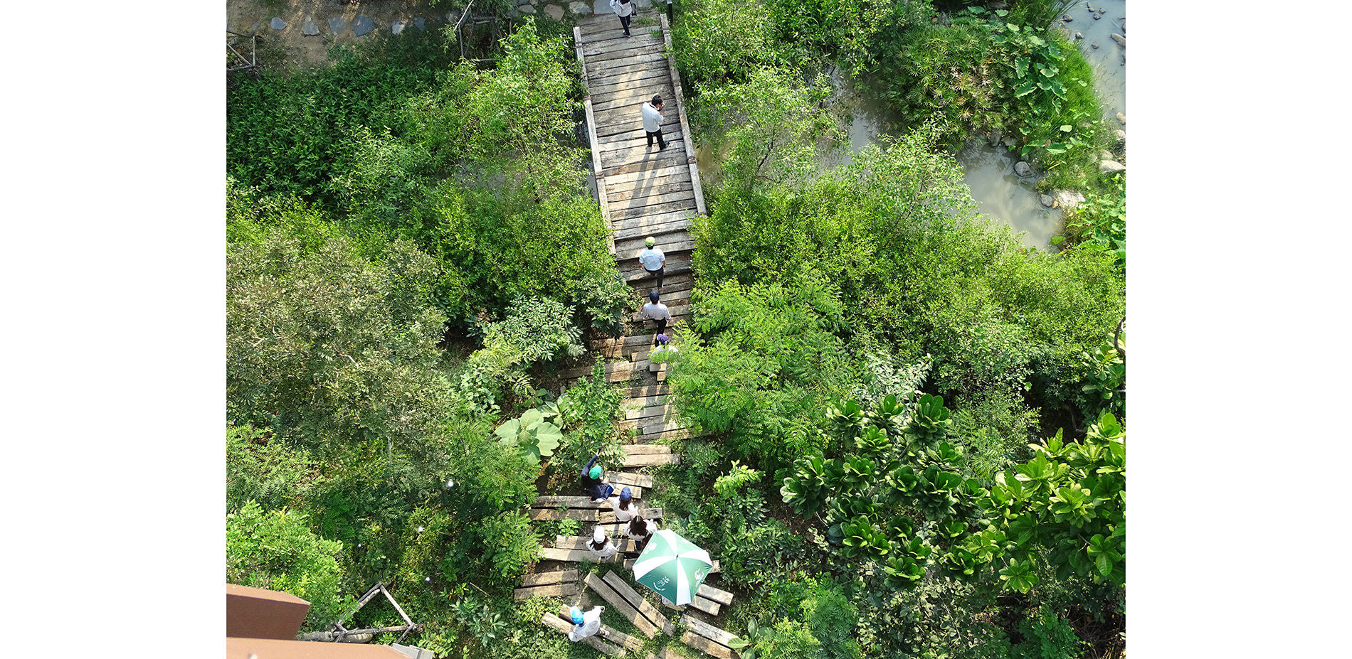 Bridge Made of Reused Railroad Ties