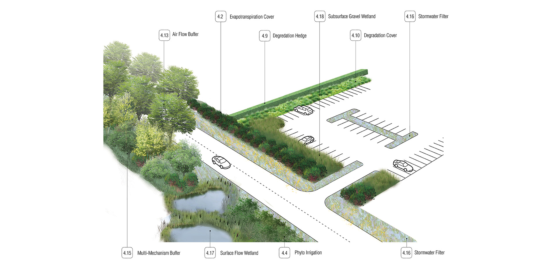 Roadways and Parking Lots: Phytotechnologies to Address Contaminants Illustration