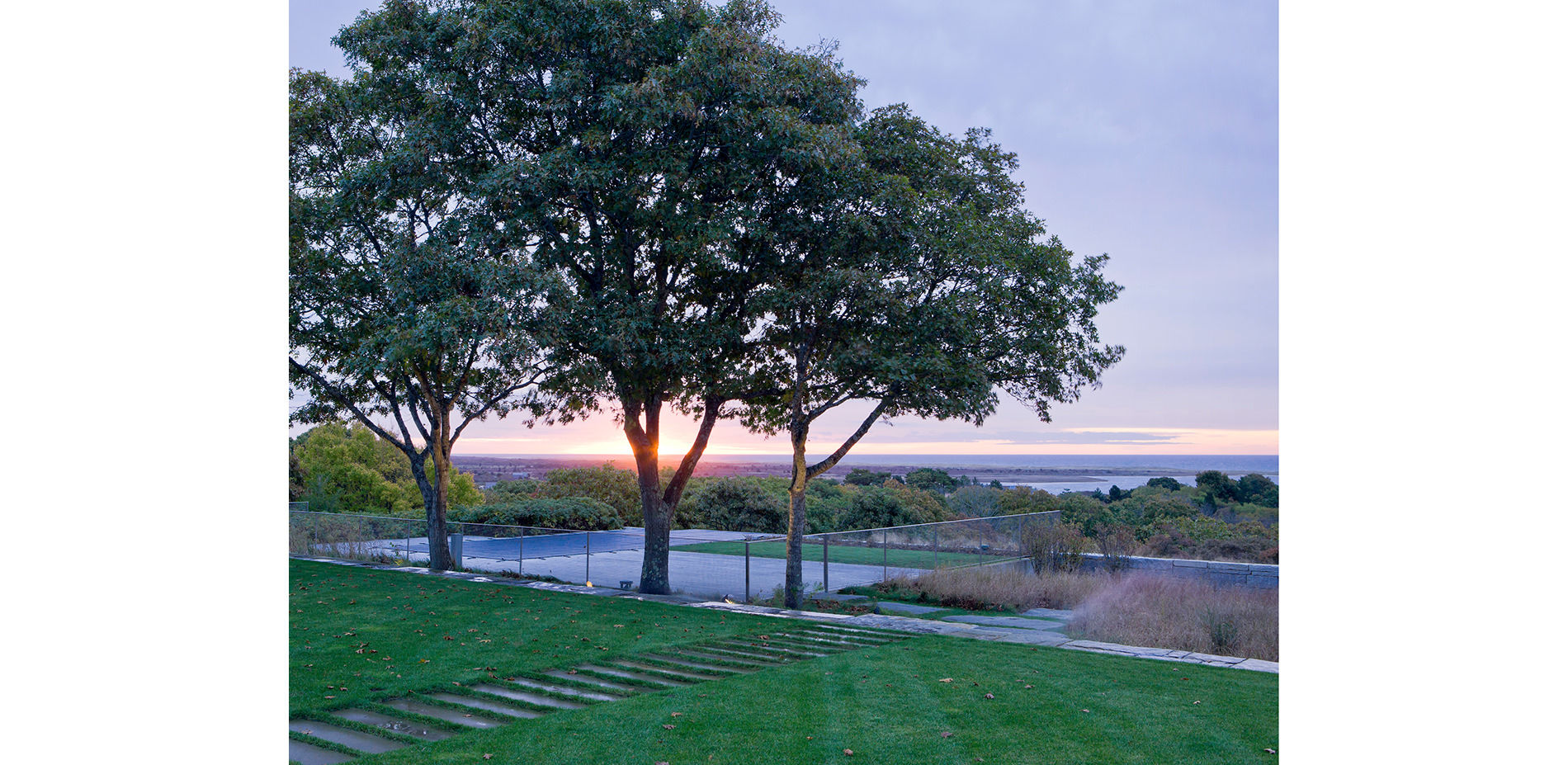 Oak Tree Framing Terrace at Sunset