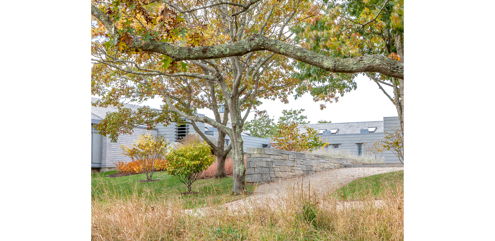 Trees and House Exterior