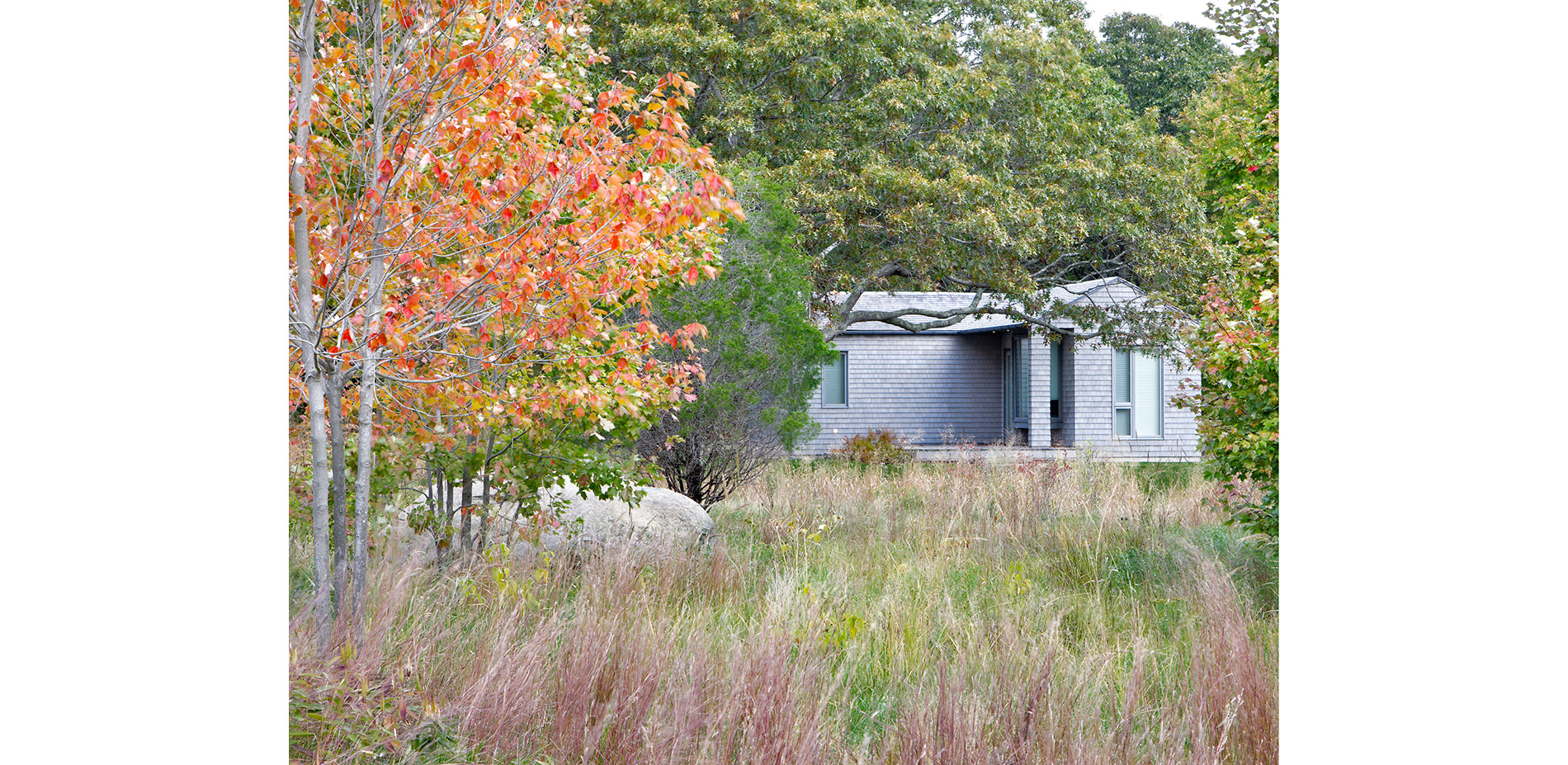 Trees and Grasses Surrounding Guest House