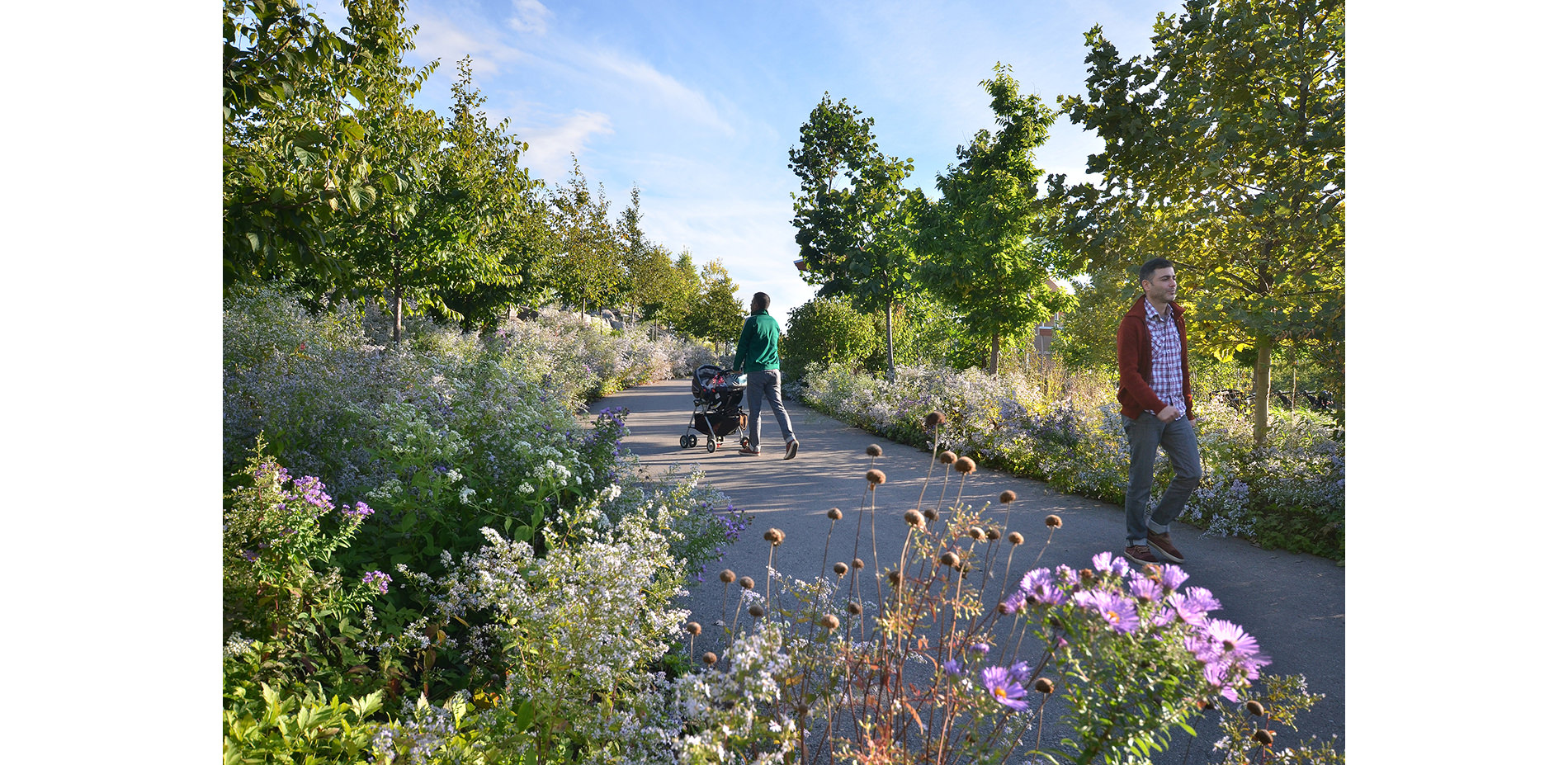 People Walking on Path