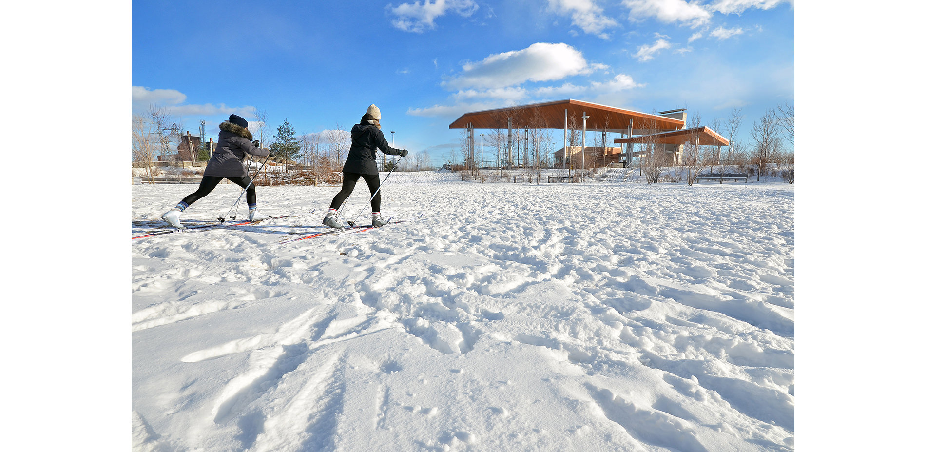 Snow on the Ground by Pavilion