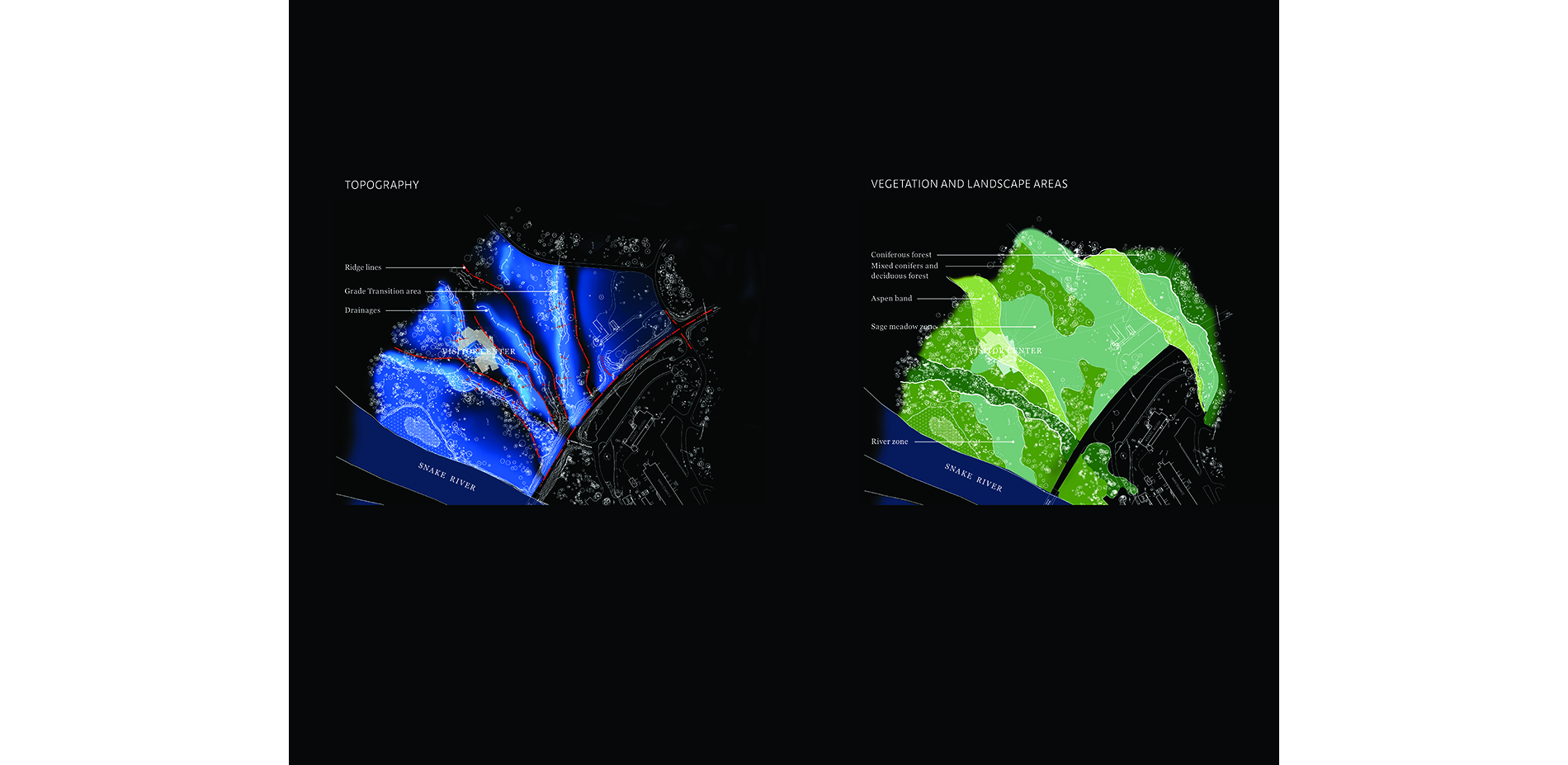 Topography and Vegetation Area Maps