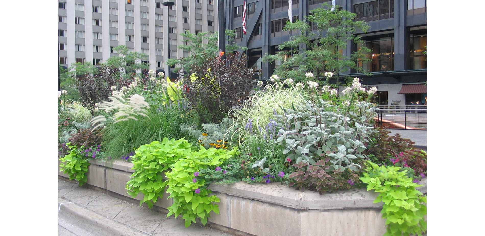 Planters on Michigan Avenue