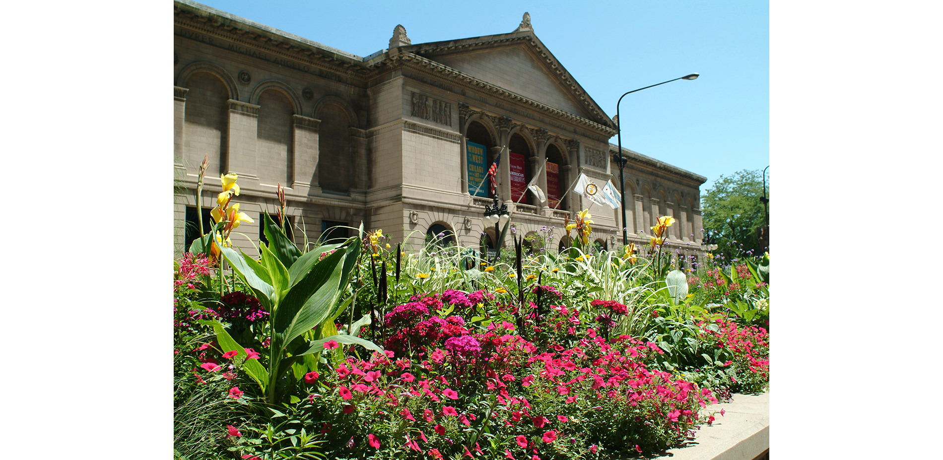 Planters on Michigan Avenue