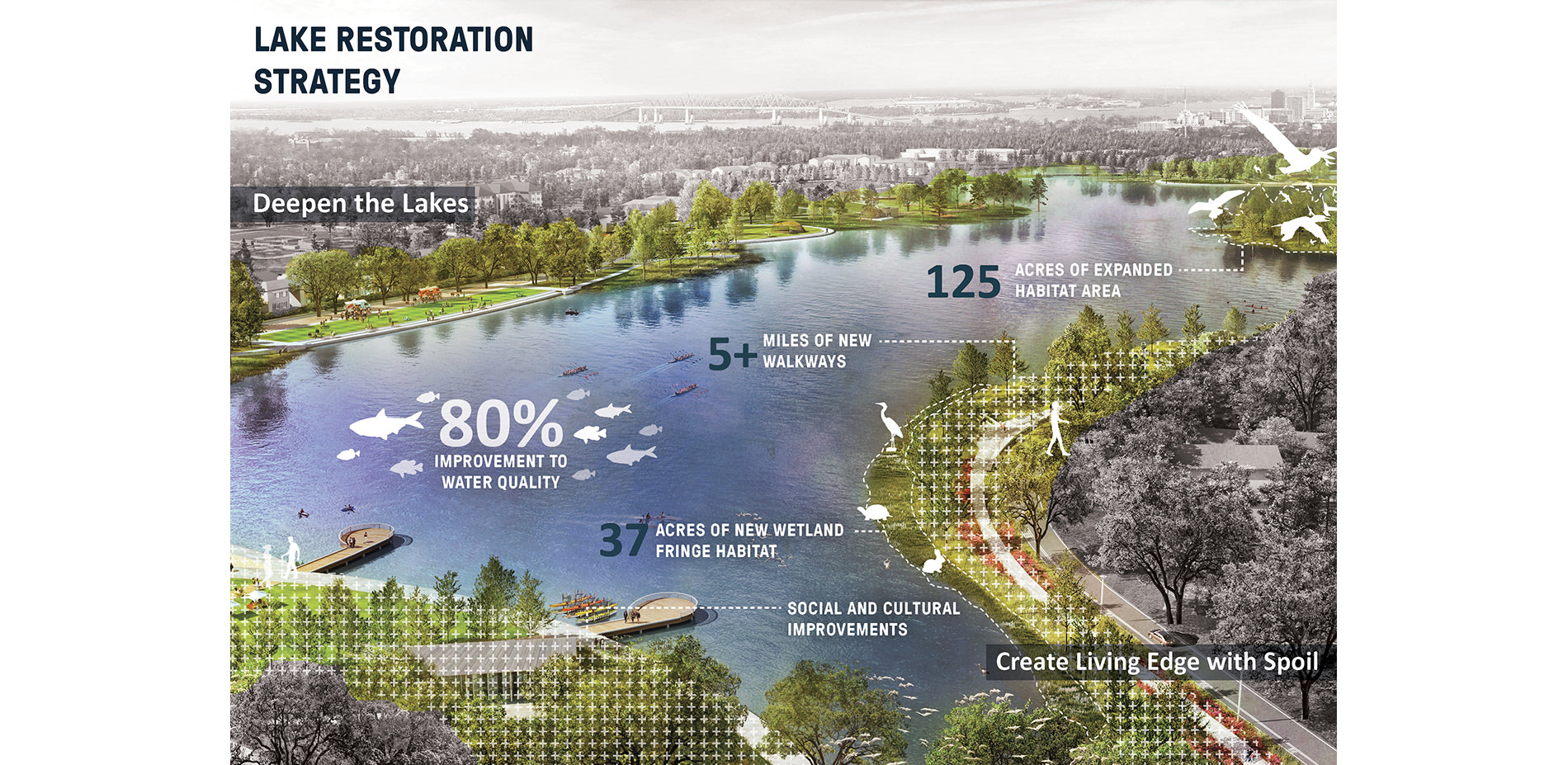 Rendering of Lake Restoration Strategy