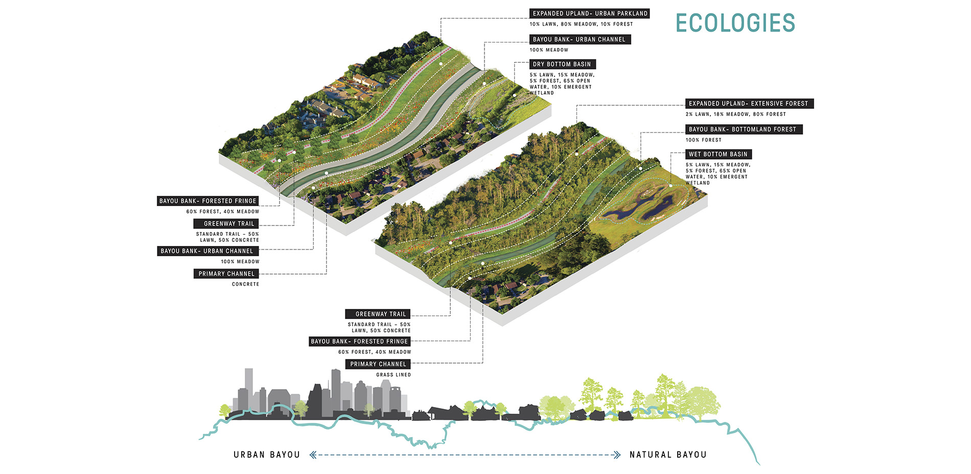 Ecologies Illustration