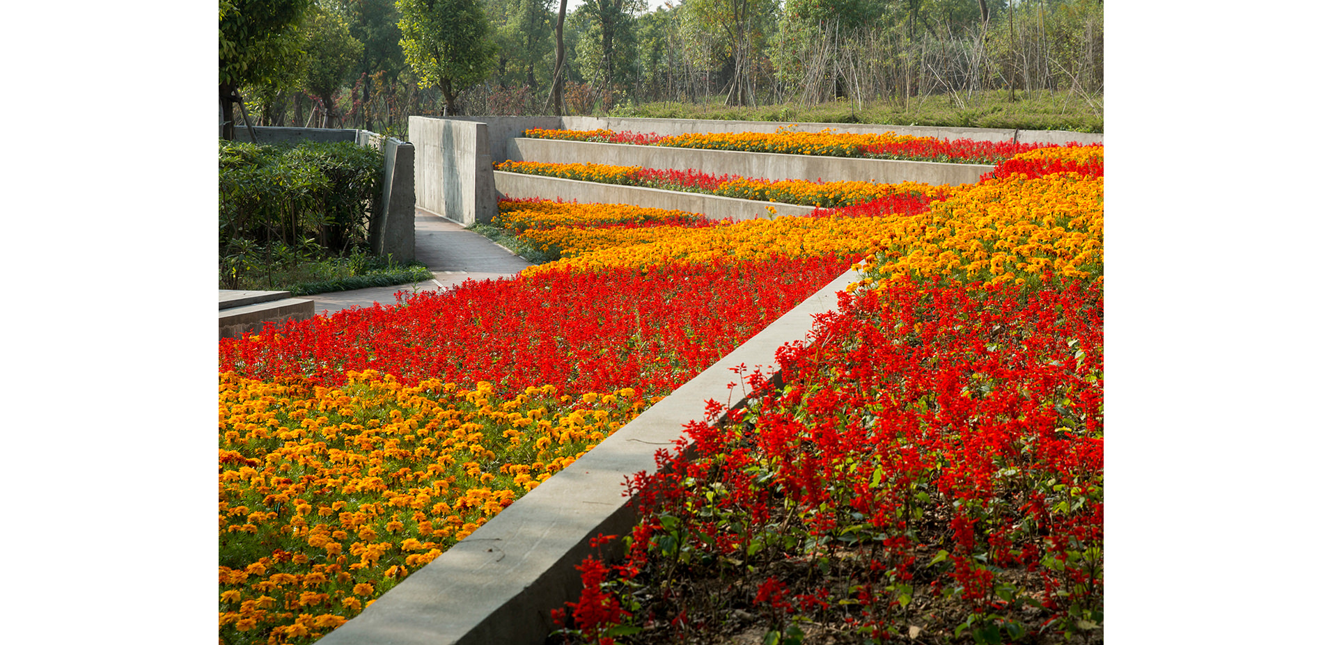 Perennial Garden