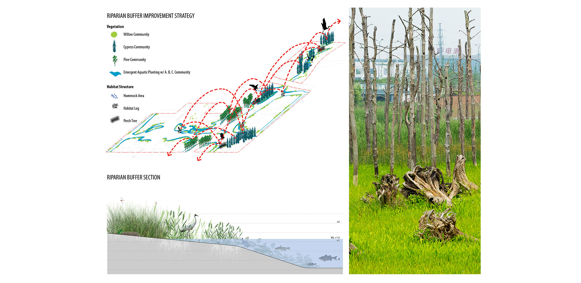 Riparlan Habitat Design Plan