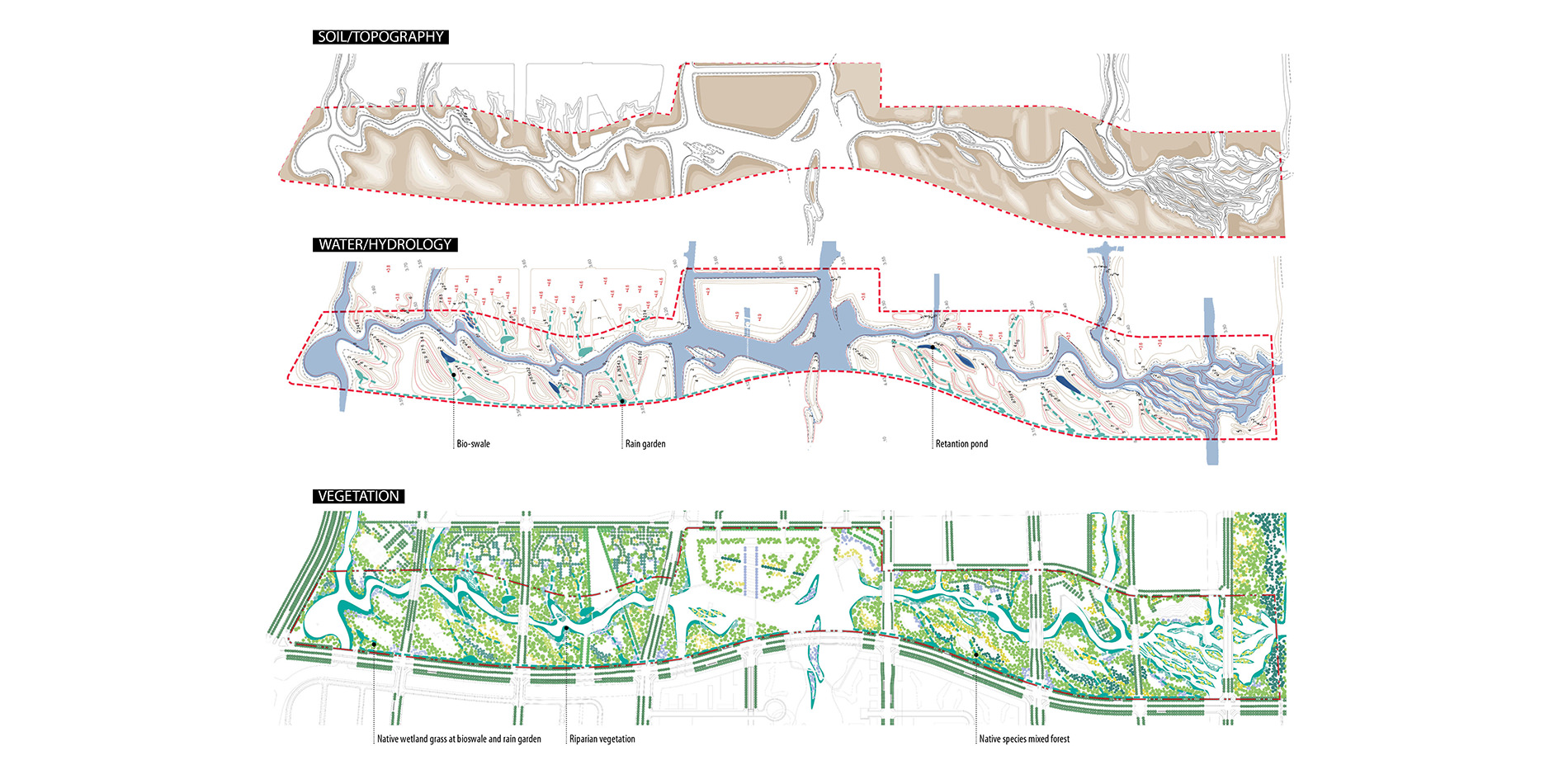 Topography, Hydrology, and Vegetation Maps