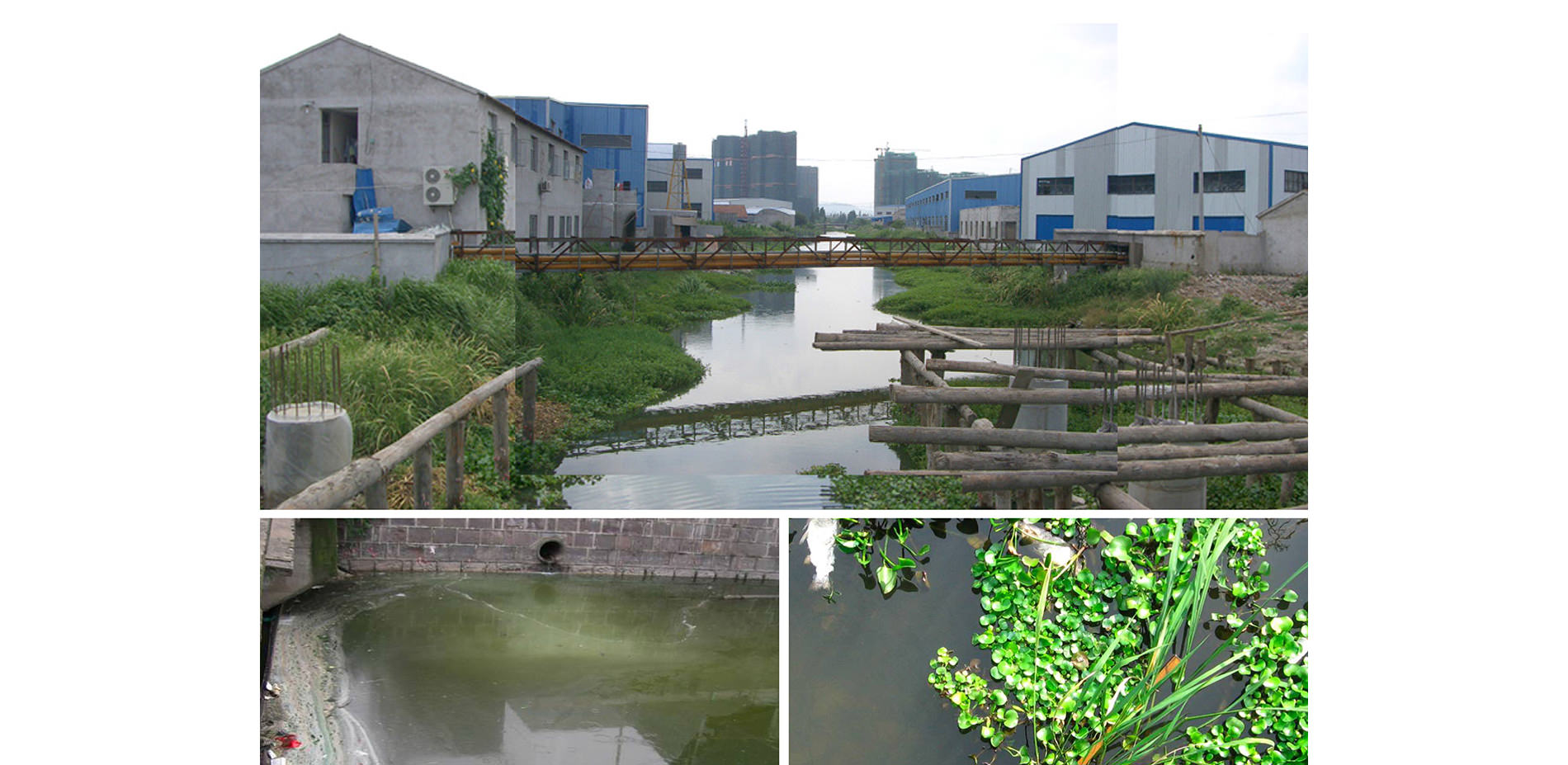 Eco-Corridor Before Development