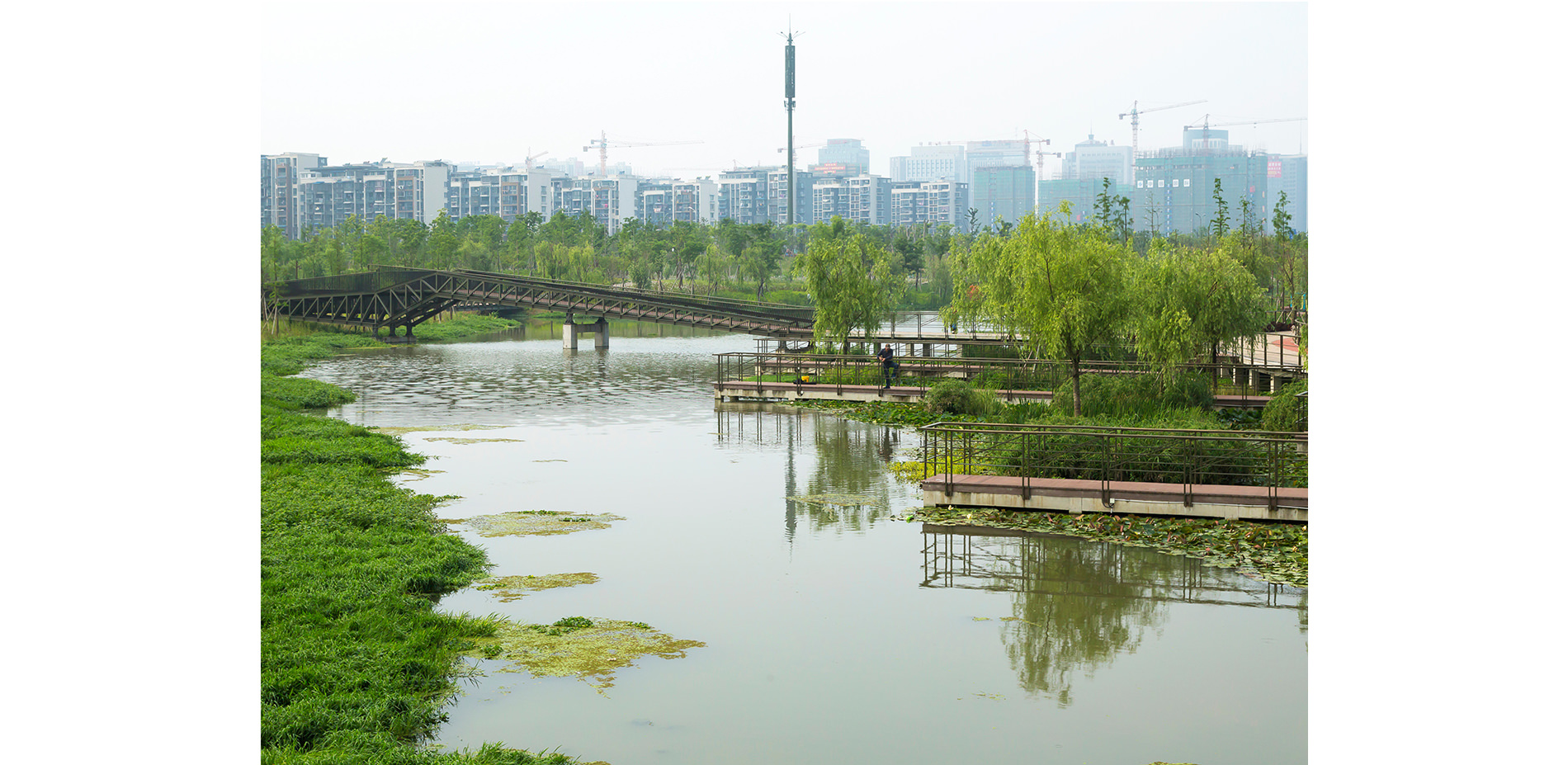 Eco-Corridor After Development