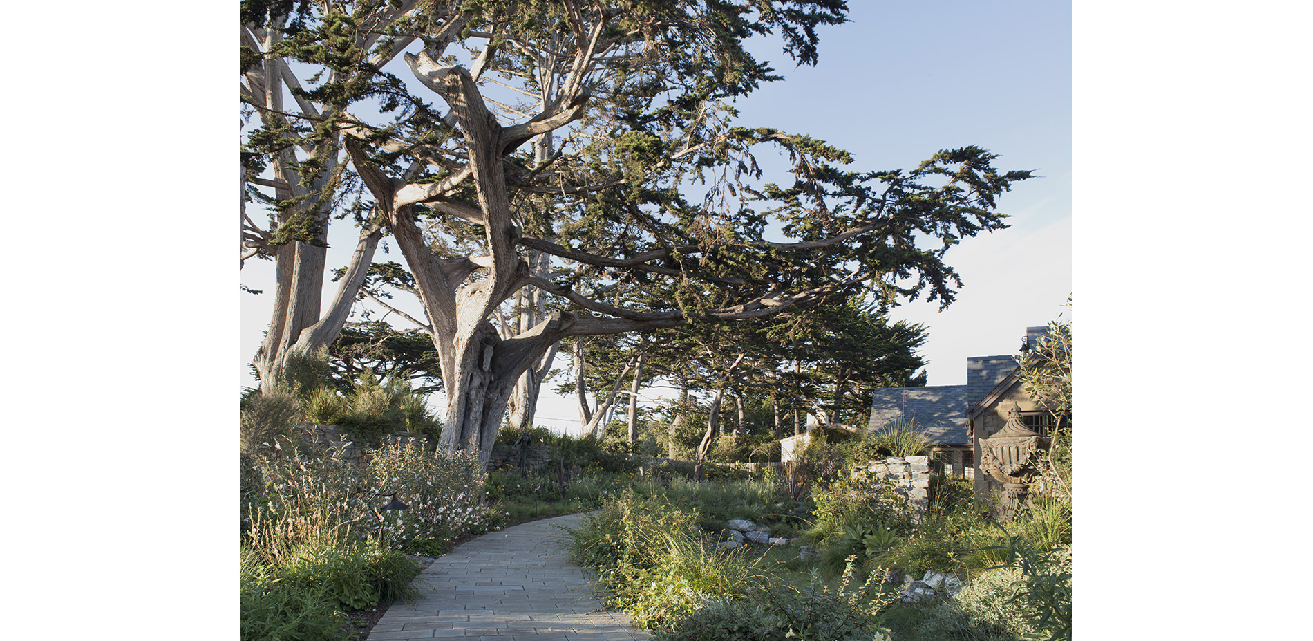Path and Monterey Cypress