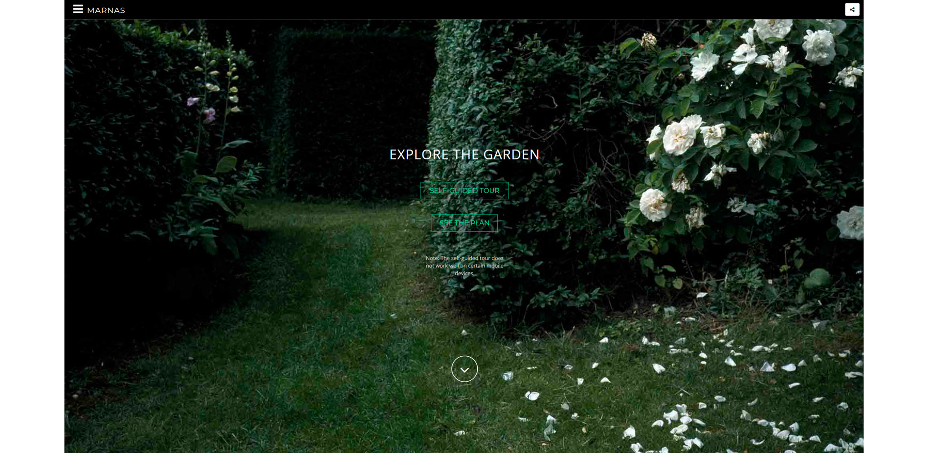Explore the Garden is an invitation to wander around the garden on your own. There are hundreds of possible paths to choose from. This network was cre…