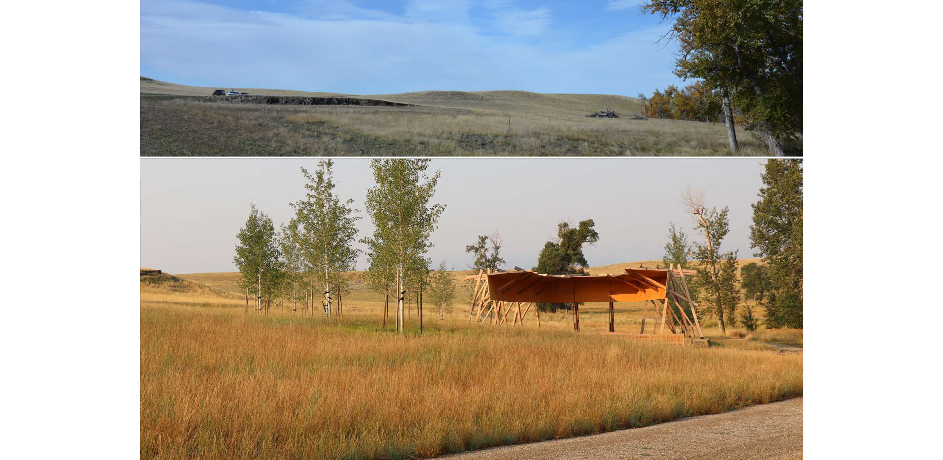 Before and After: The site of the Tiara capitalizes on the original hedgerow as an acoustic buffer and allows for increased tree canopy. The dual plan…