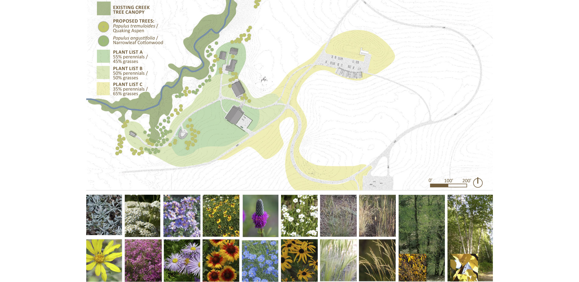 The planting strategy re-establishes grassland diversity and implements sustainable grazing practices. Selected plant species optimize site ecology, s…