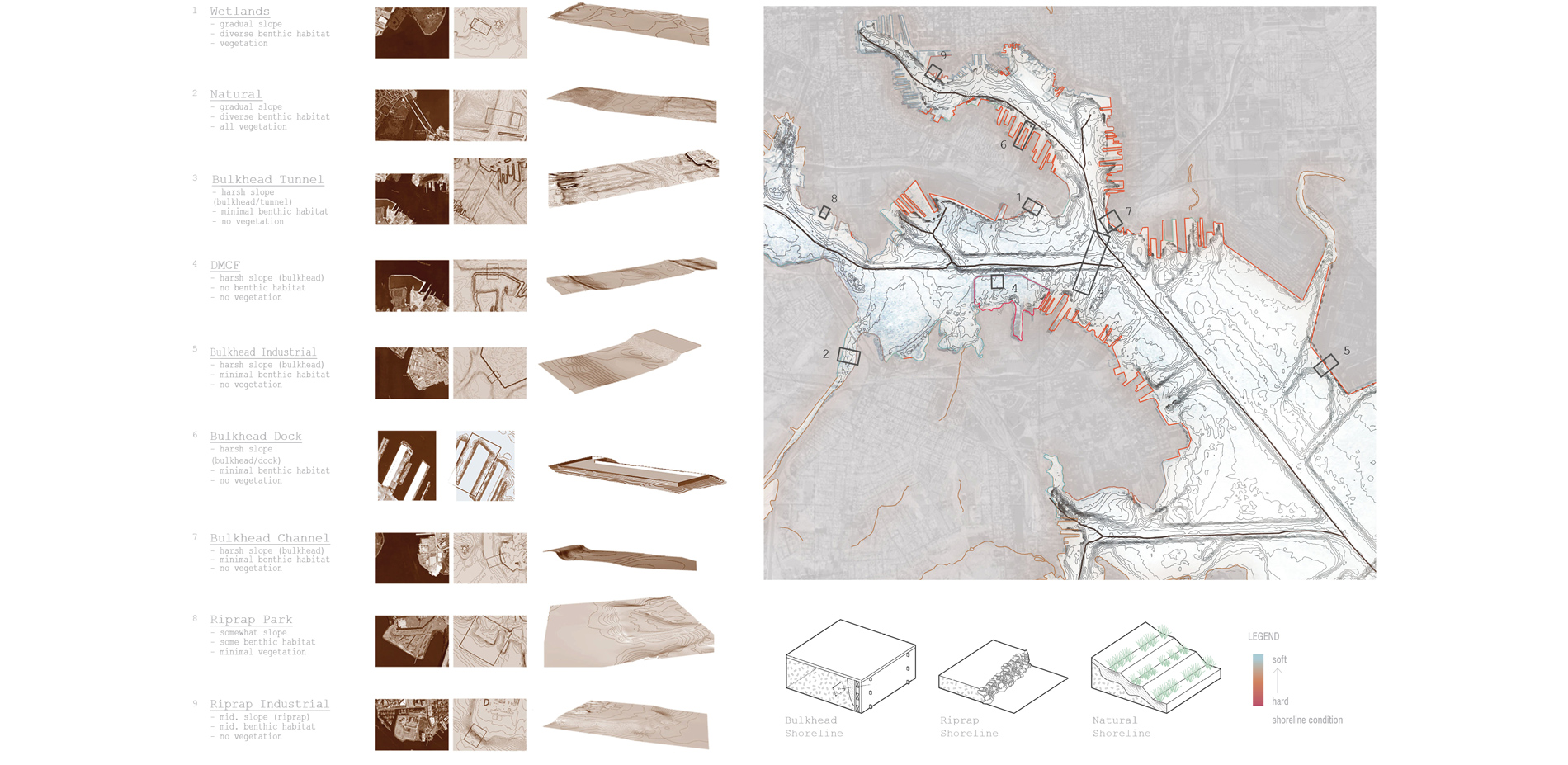 ocal shoreline typology studies offer insights into existing conditions and opportunity sites for innovative and beneficial reuse of dredged material …