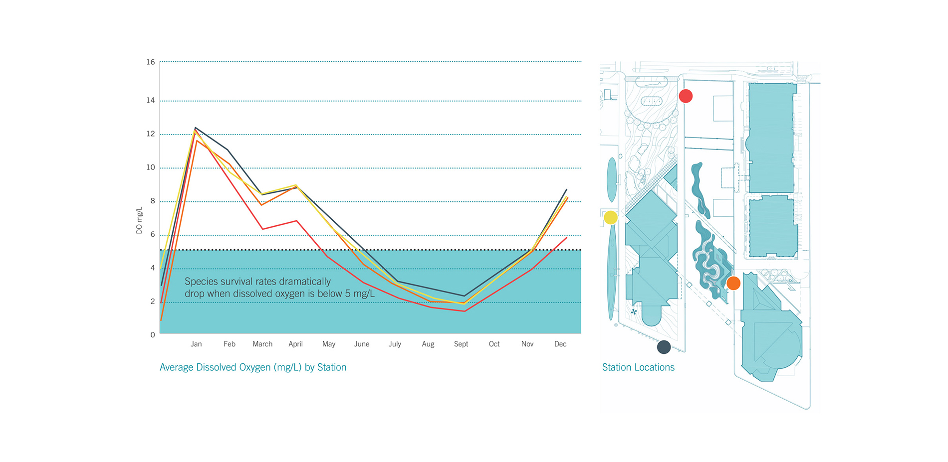 The dissolved oxygen levels in the harbor are a signifier of poor water quality. When these variables drop to unsafe levels in the summer months coupl…