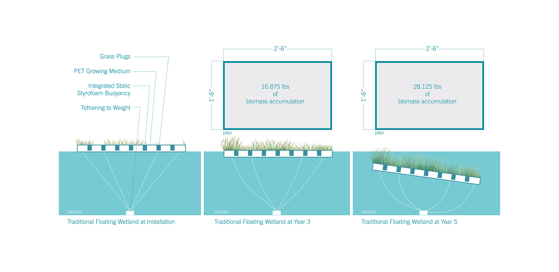 The implementation of floating wetlands has ingredients that help to reestablish conditions of its pre-development landscape, however, the conventiona…