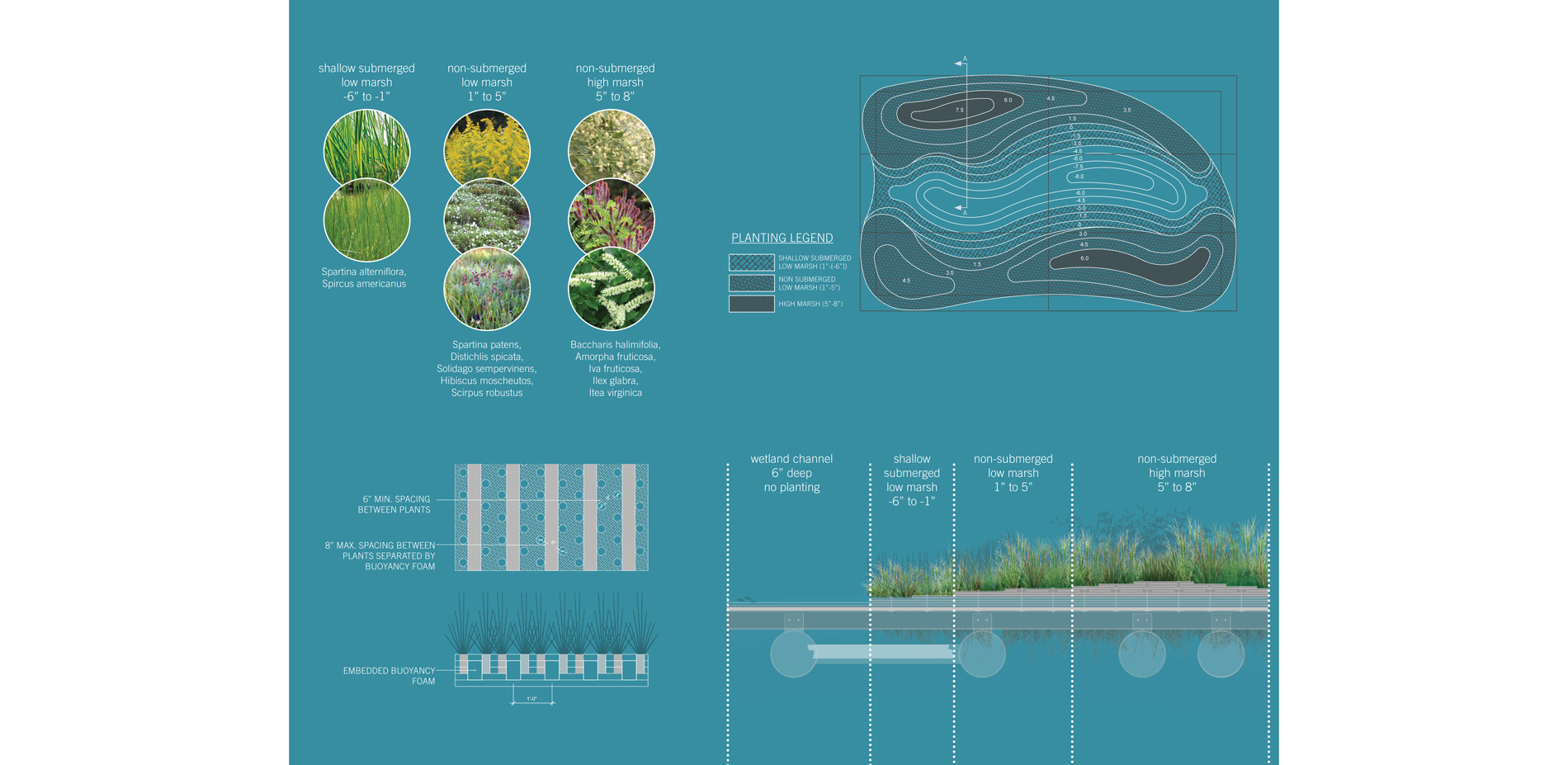 The planting plan uses native Chesapeake Bay species and stratifies them by inundation level within the prototype. The four vegetation zones are aimed…
