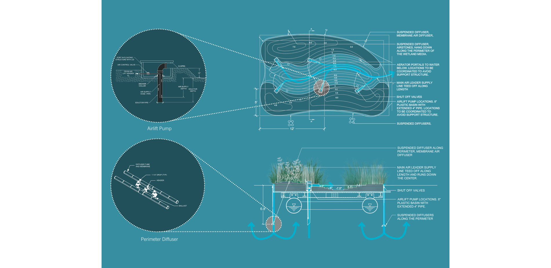 A combination of airlifts and perimeter aeration diffusers create responsive infrastructure that can counteract low dissolved oxygen events in the har…