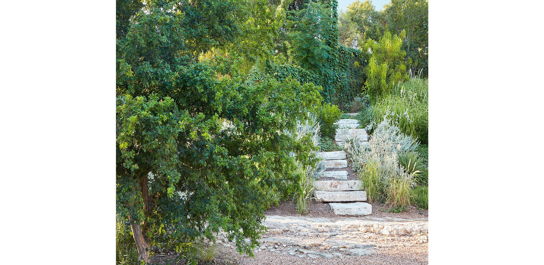 This weathered limestone ledge provides a soft break between the flat pool terrace and the grass-filled hillside. Thick stones are stacked to form an …