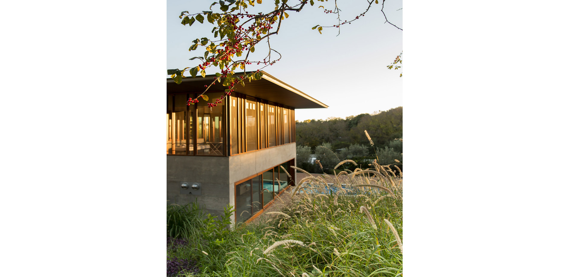 Pictured here, a new Pennisetum hybrid called, “Kick Ass Grass” was used to bring drama and movement to the hillside.…