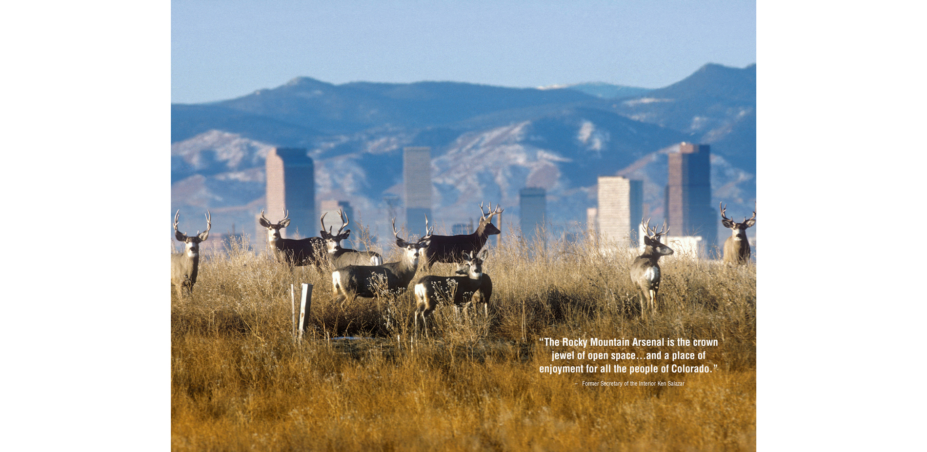 With over 300,000 annual visitors, the Refuge offers a distinct contrast to urban life for both people and 330 animal species. Outreach programs have …