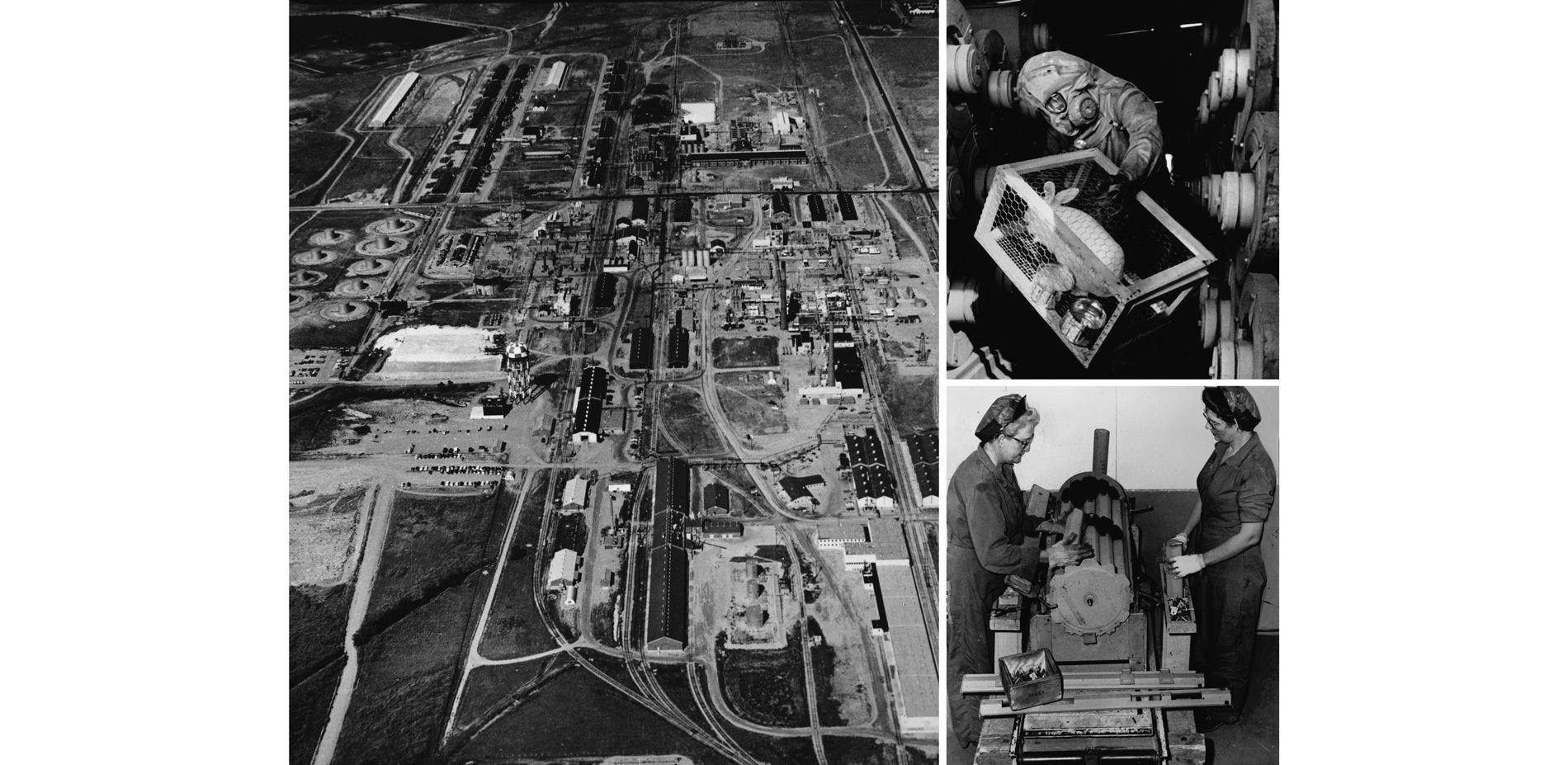 In the wake of Pearl Harbor, the U.S. Army constructed the Arsenal and produced biological and chemical weapons. Although entities used acceptable was…