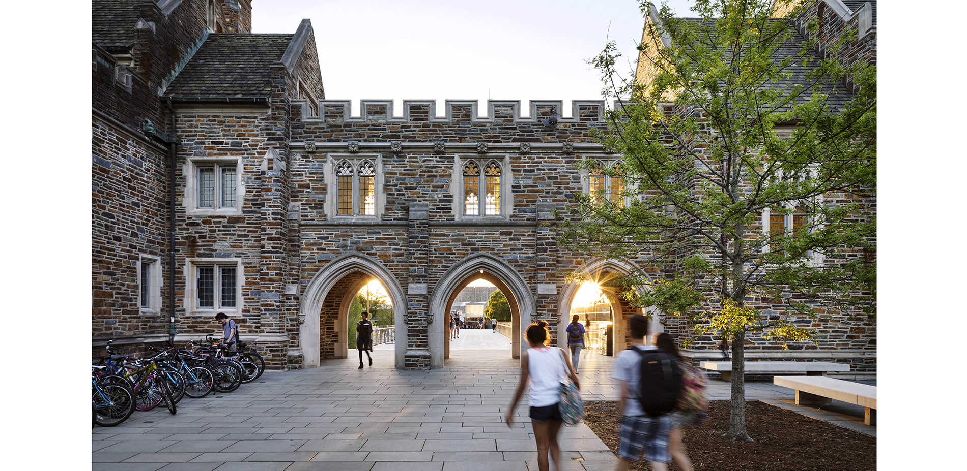 A continuous terrace FLOWS the iconic gothic arches marking the transition from the historic Abele Quad to the vibrant student commons beyond.…