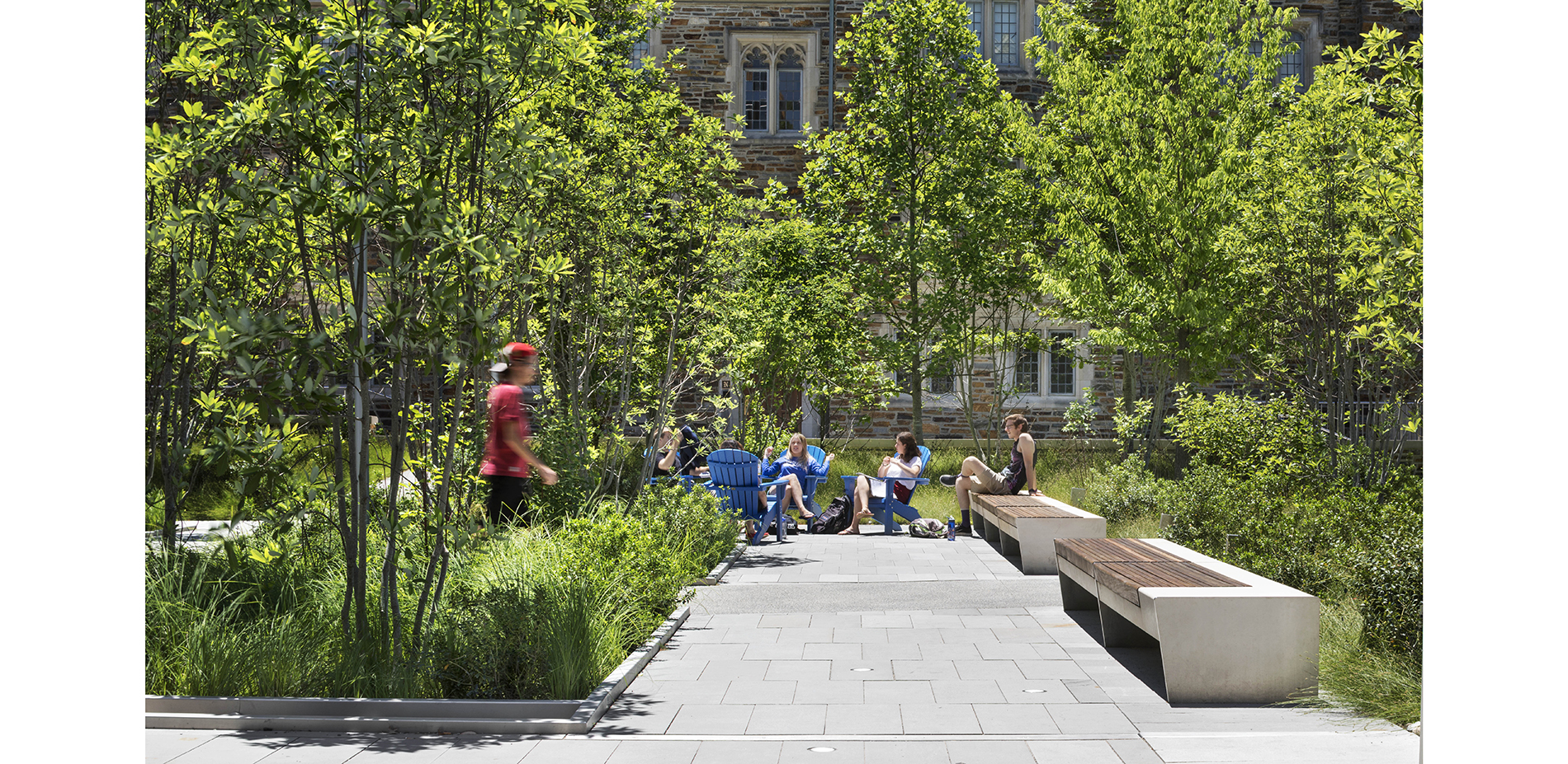 Rain gardens and naturalized plantations define smaller spaces within the plaza, encouraging a less formal kind of engagement.…