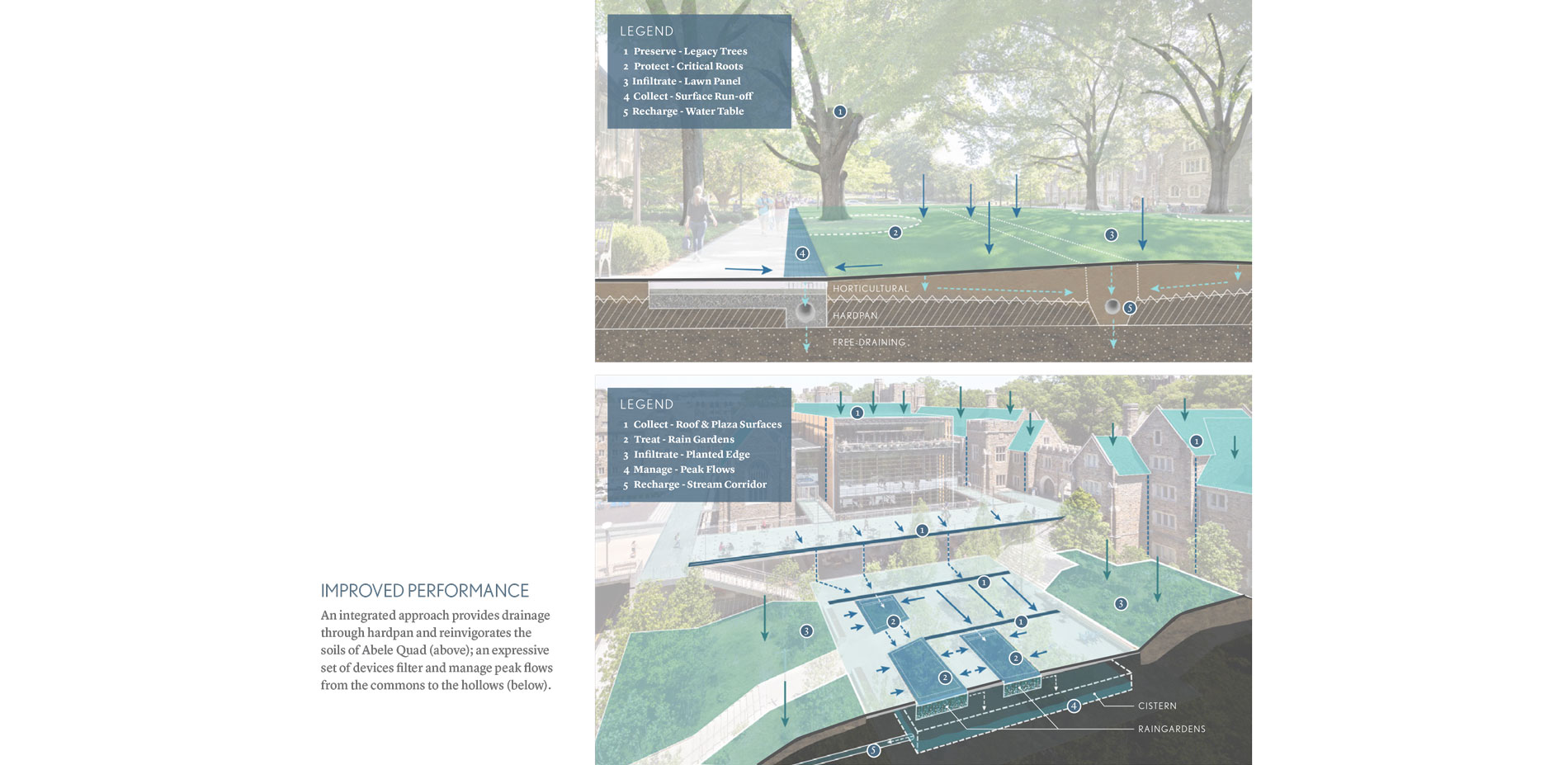 An integrated approach provides drainage through hardpan and reinvigorates the soils of Abele Quad (above); an expressive set of devices filter and ma…