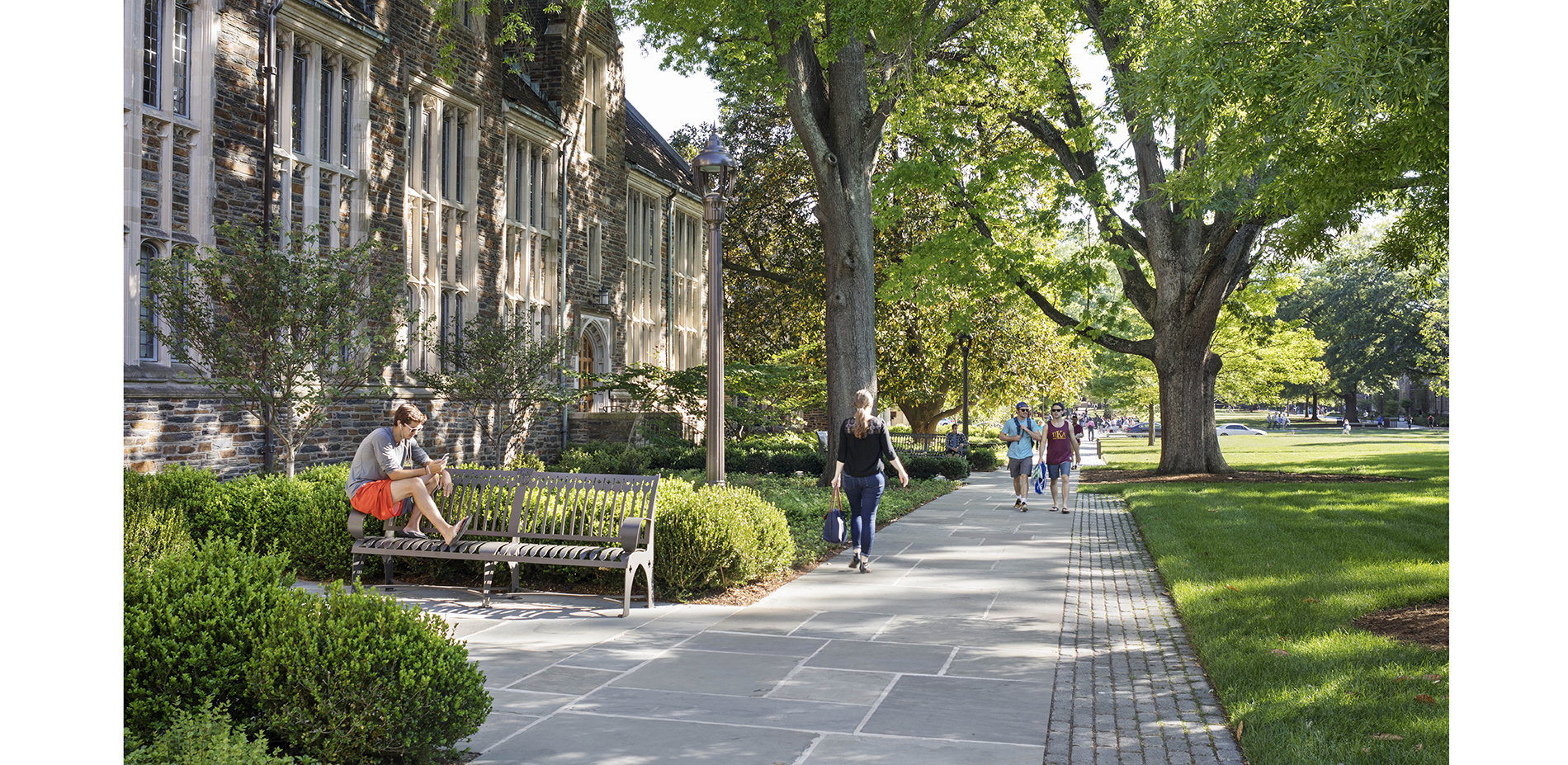 The Olmsted Brothers' original plan for the quad framed open lawn with dense planting. Intimate gathering spaces are organized within the revitalized …