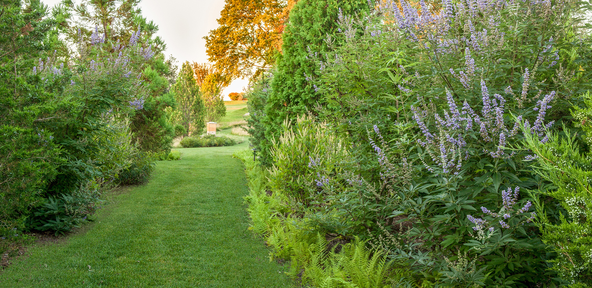 Around the garden, a network of mown paths meander through mixed evergreen trees and grassland, with hints of the blue-flowering perennials and occasi…