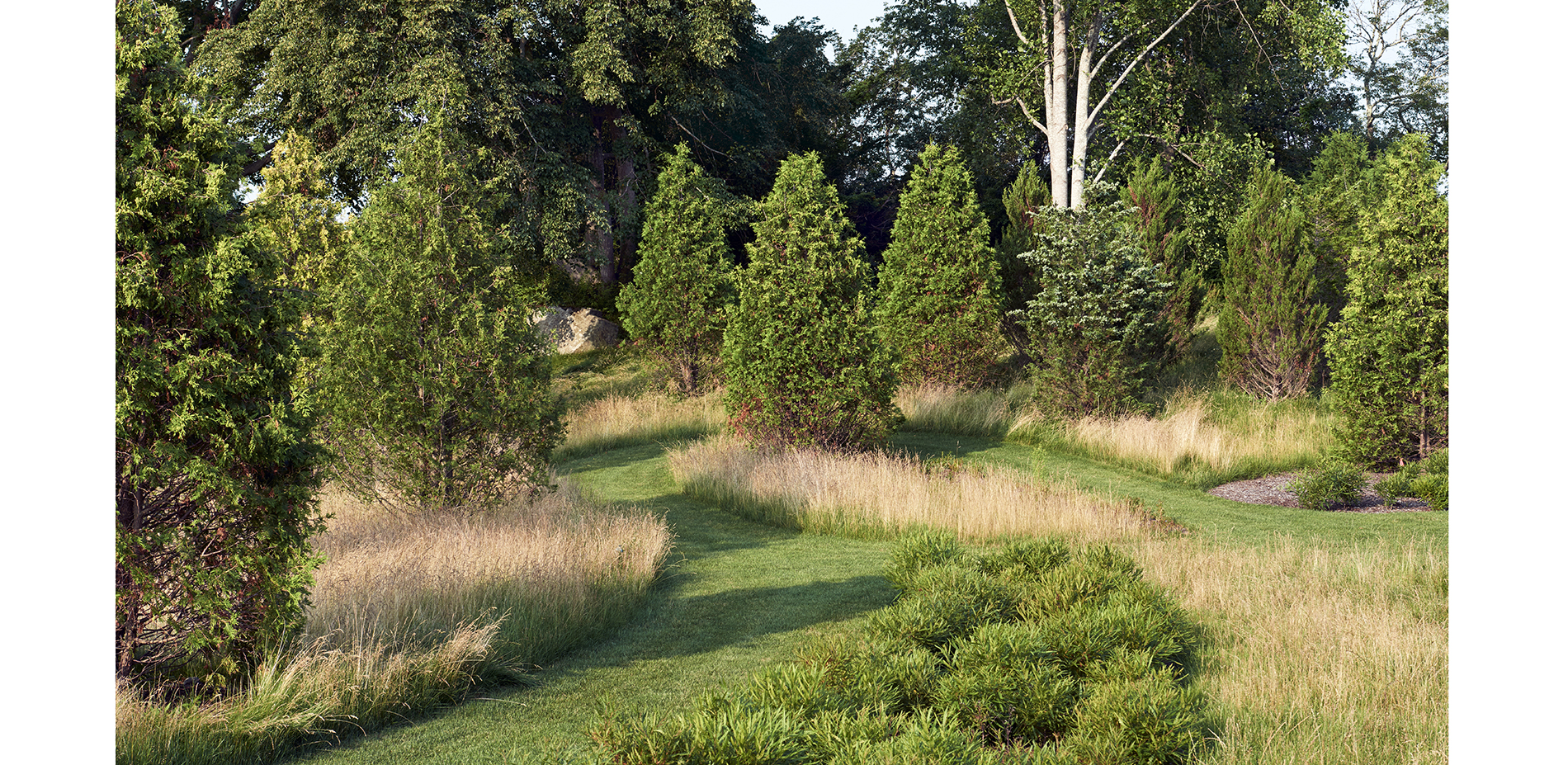 The garden’s evergreen frame gives way to native grassland.…