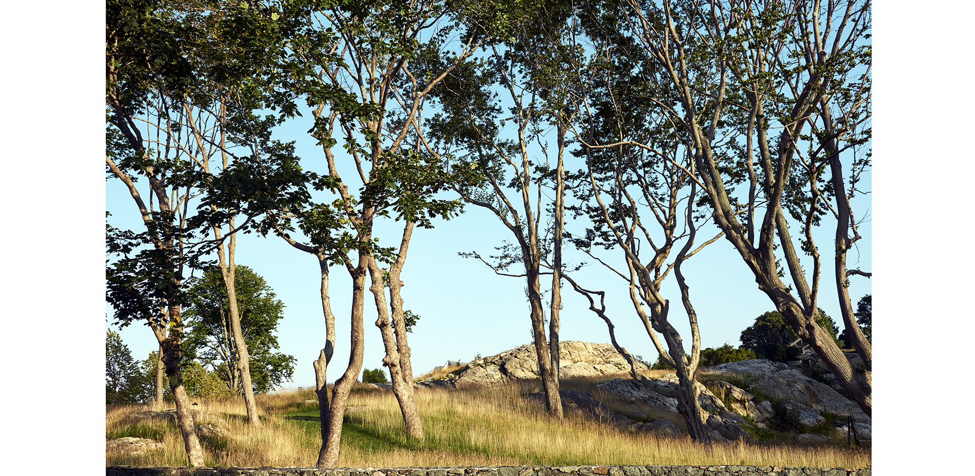 The paths and grasses extend southward from the garden to join the adjacent fields of exposed bedrock and scrubland.…