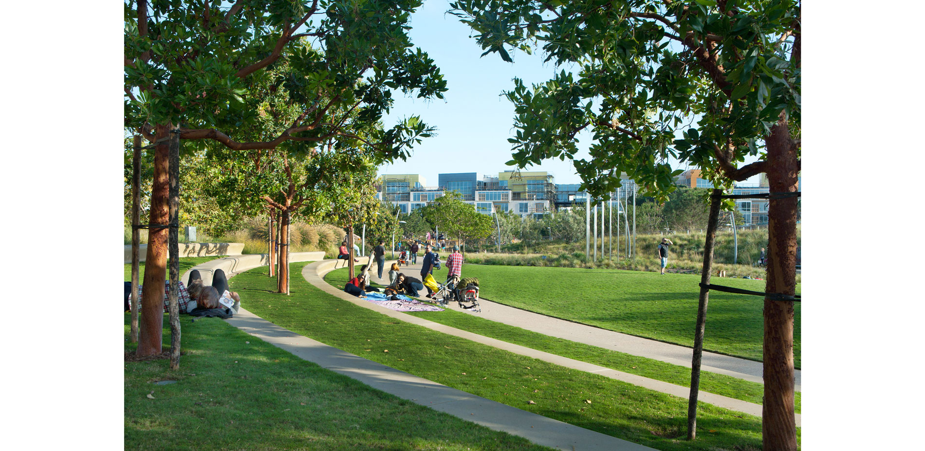 The social heart of Tongva Park is Gathering Hill. Designed to hold a 400 person audience for events and concerts, its Strawberry-tree-shaded terraces…