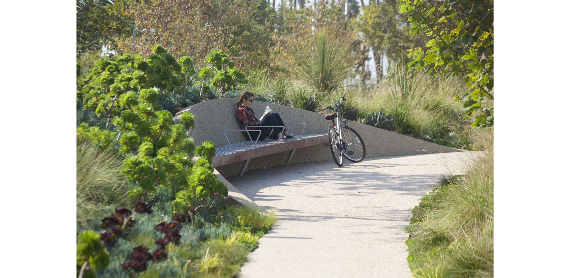 The rolling topography at Garden Hill provides an ideal surface on which to display grasses, succulents, agaves, and seasonal bulbs, resulting in a la…