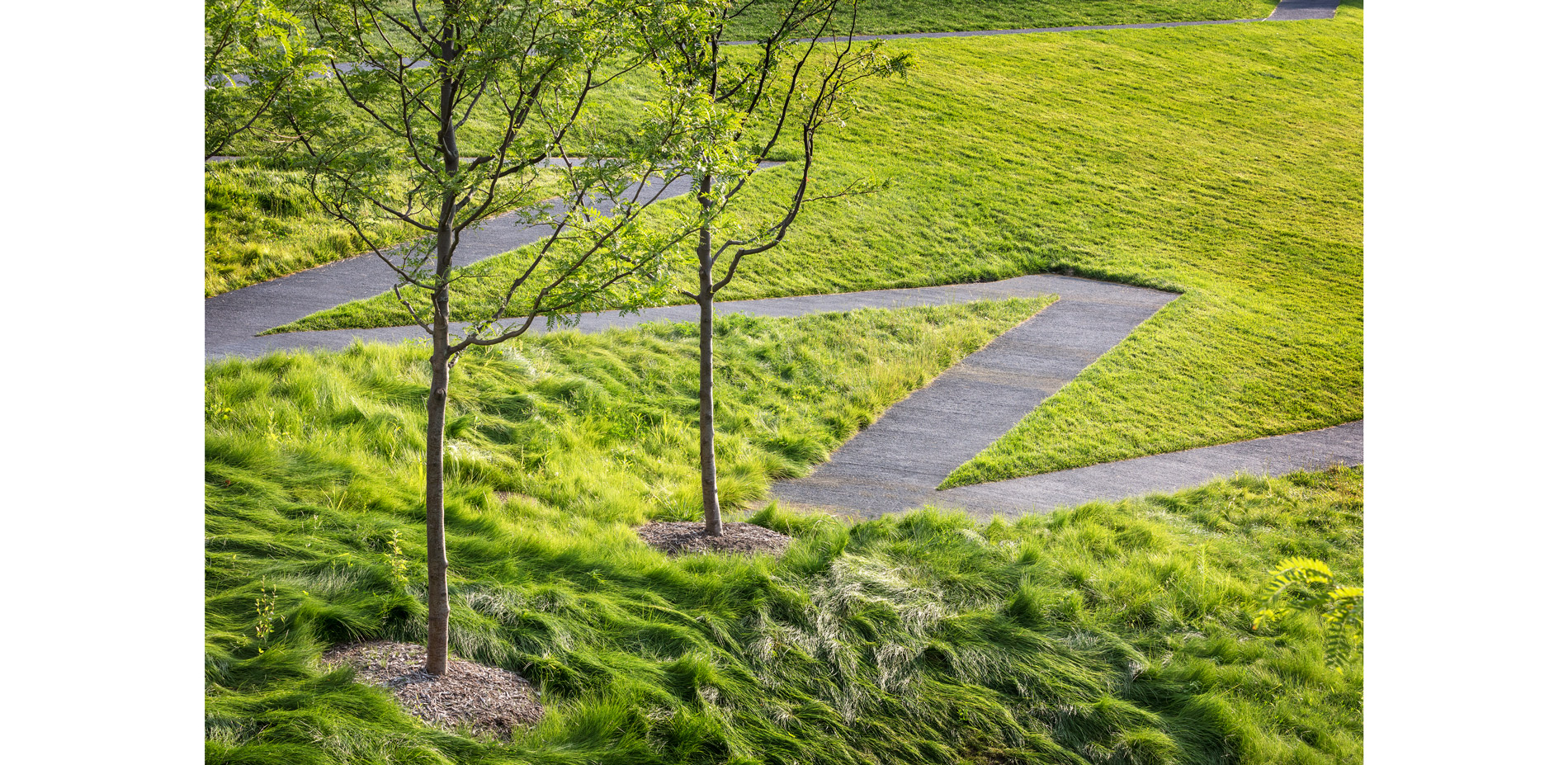 The new Wurtele Upper Garden is a part of a larger vision to re-orient the main entry of the museum, strengthen the relationship with the Minneapolis …