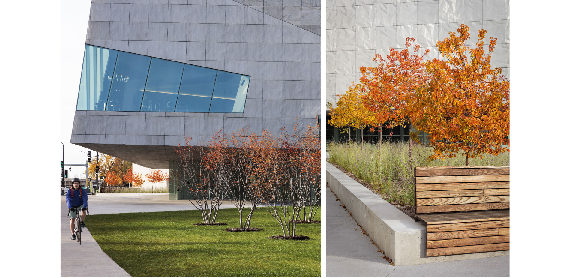 The Hennepin Avenue entrance, along a high-traffic corridor, is enlivened a grove of Serviceberry and bench planter of Korean Pear and Russian Sage. T…