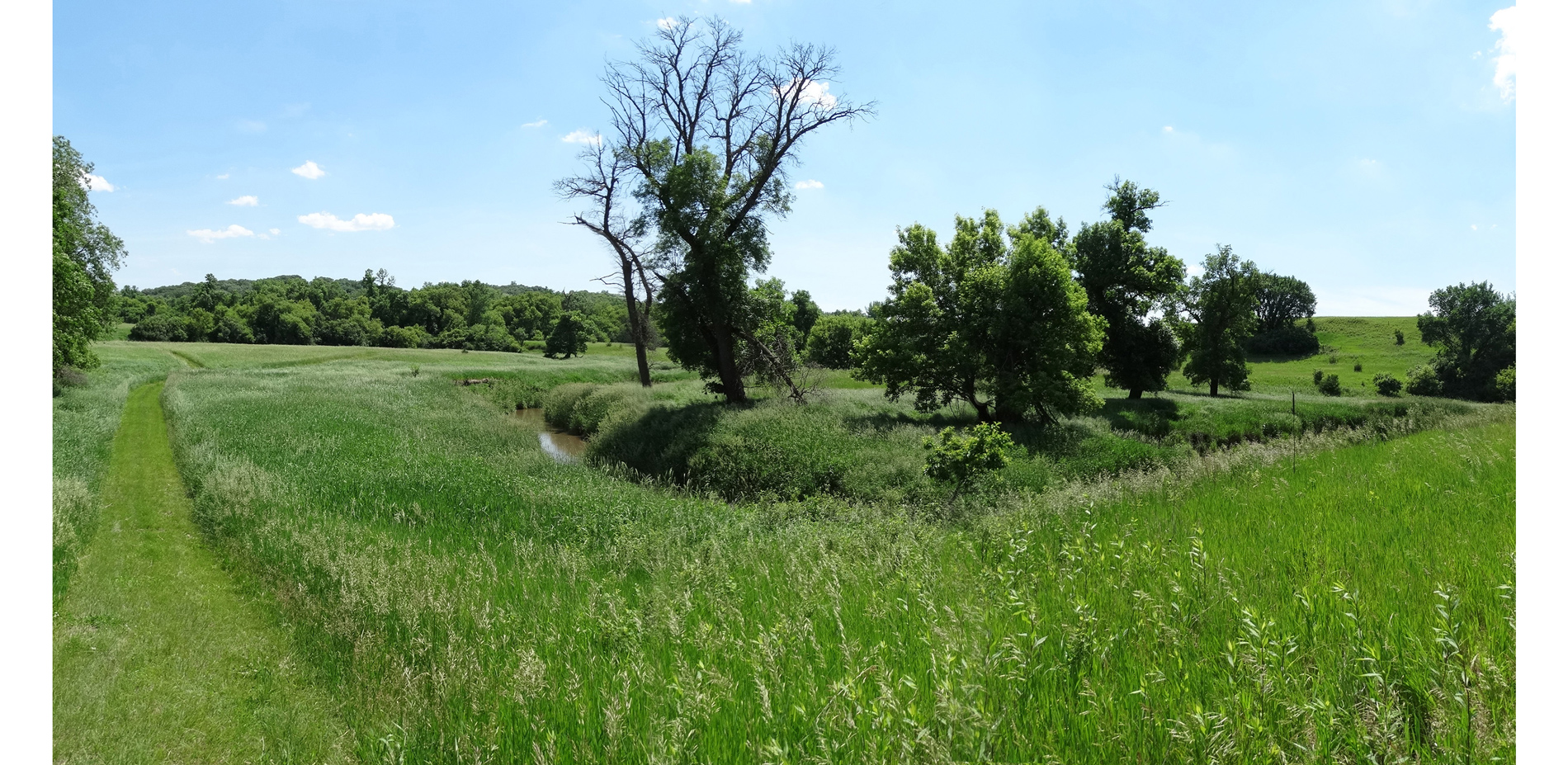 The creek terraces display compelling topography associated with American Indian farming, settlement, and mound building.  A settlement terrace with m…