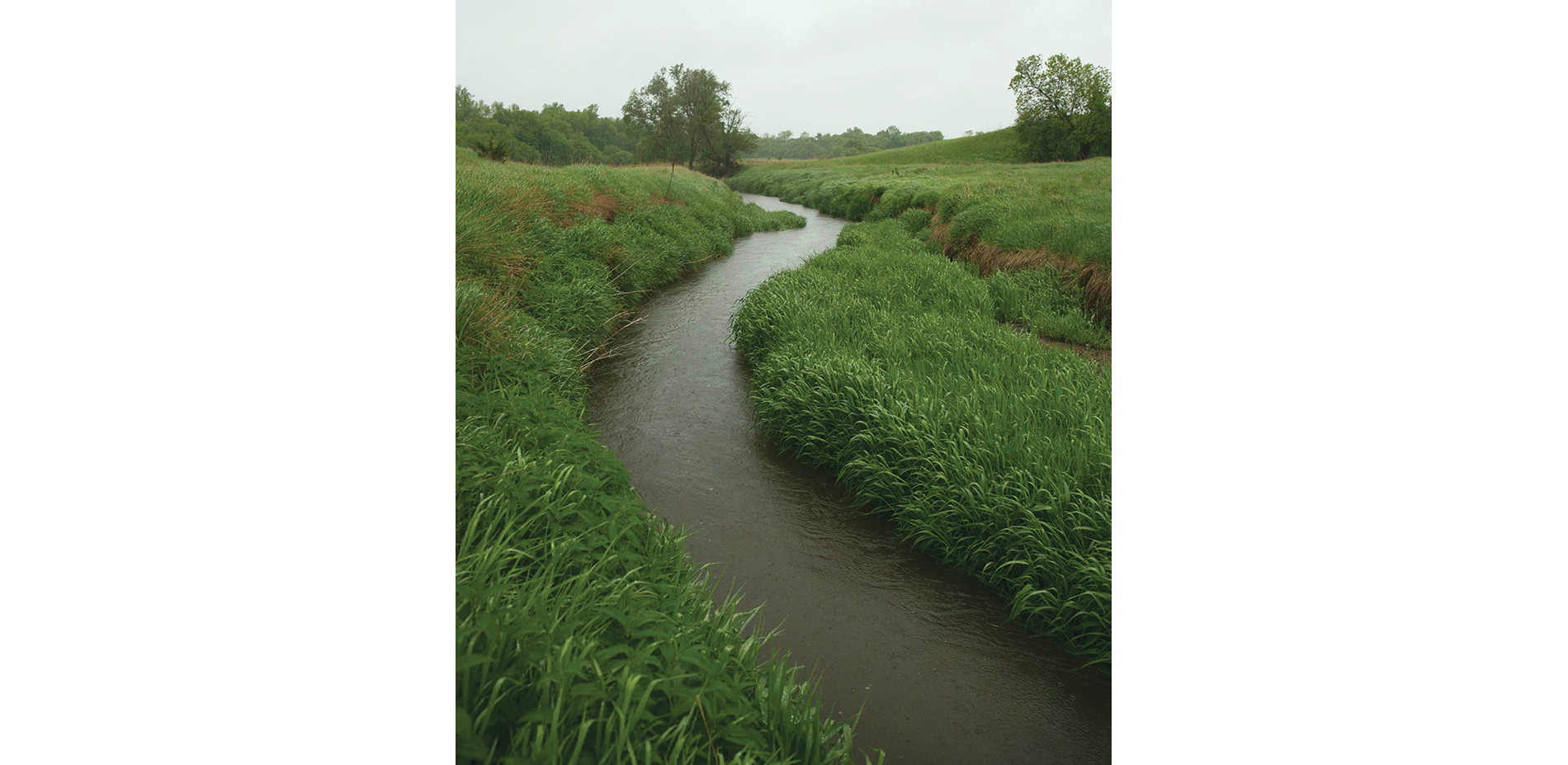 The terraces along Blood Run Creek display compelling topography associated with American Indian farming, settlement, and mound building sites.…